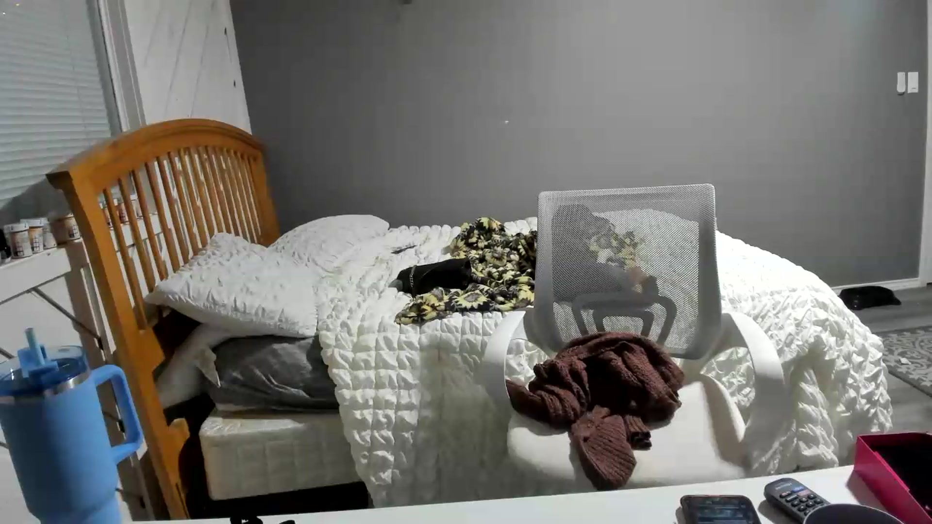 Gallery image thumbnail from JaylaBliss's myfreecams stream on, 08/18/2026, 02:13 image 13 of 20