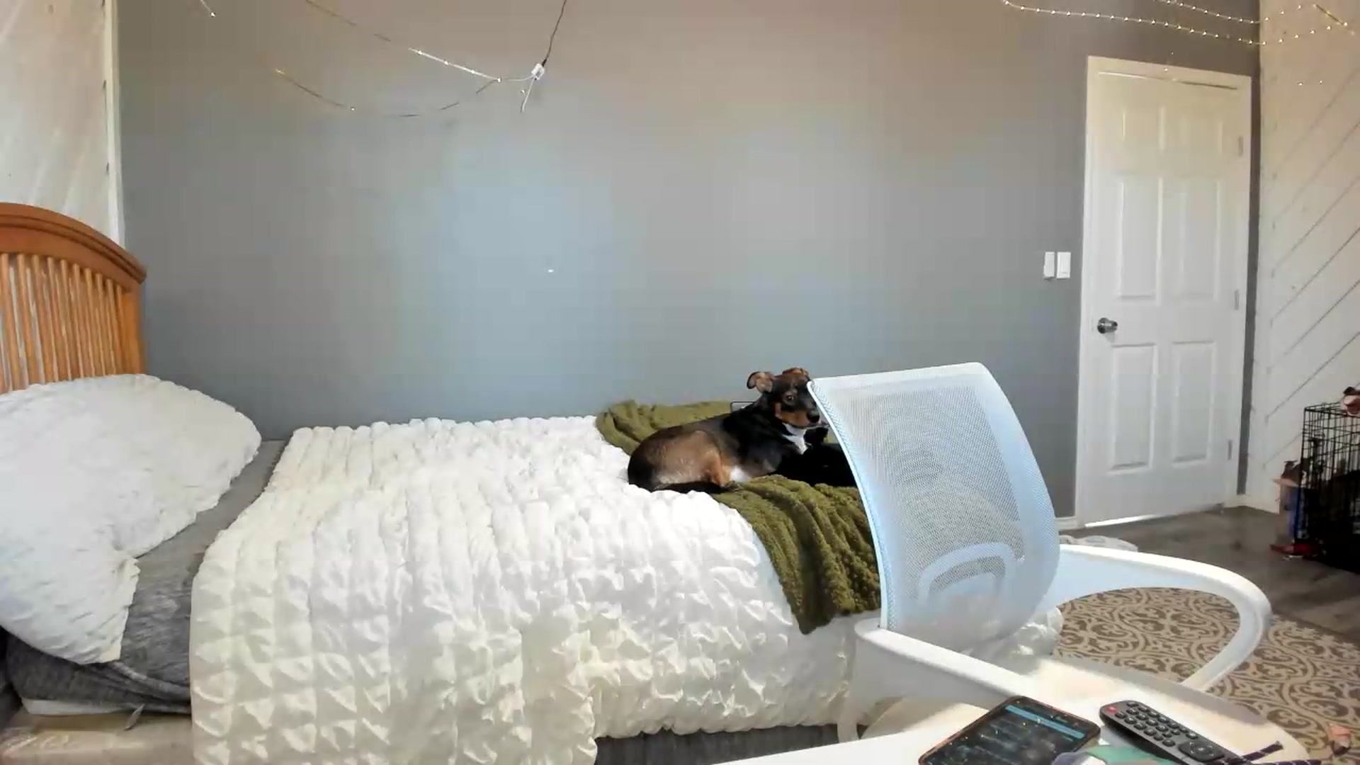 Gallery image thumbnail from JaylaBliss's myfreecams stream on, 08/28/2026, 19:04 image 7 of 20