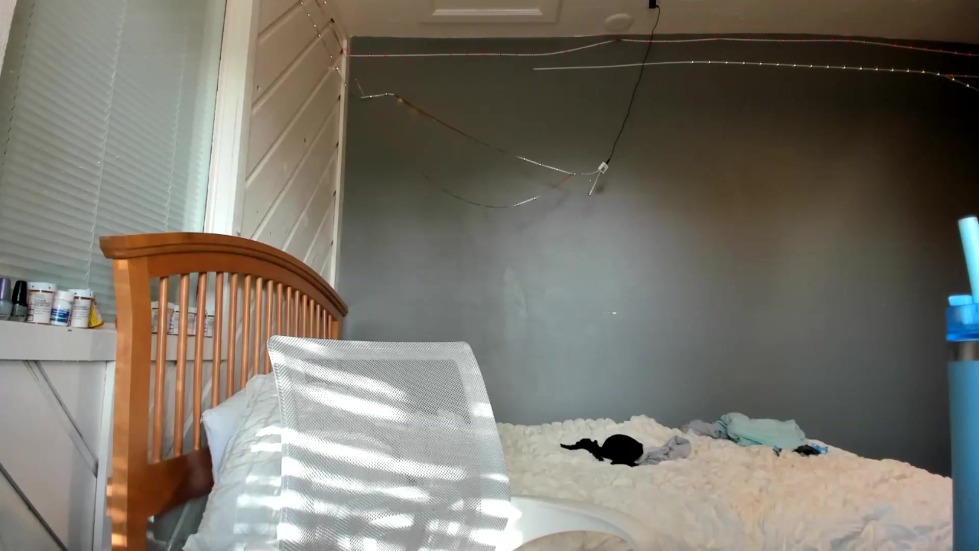Gallery image thumbnail from JaylaBliss's myfreecams stream on, 09/16/2026, 22:54 image 16 of 20