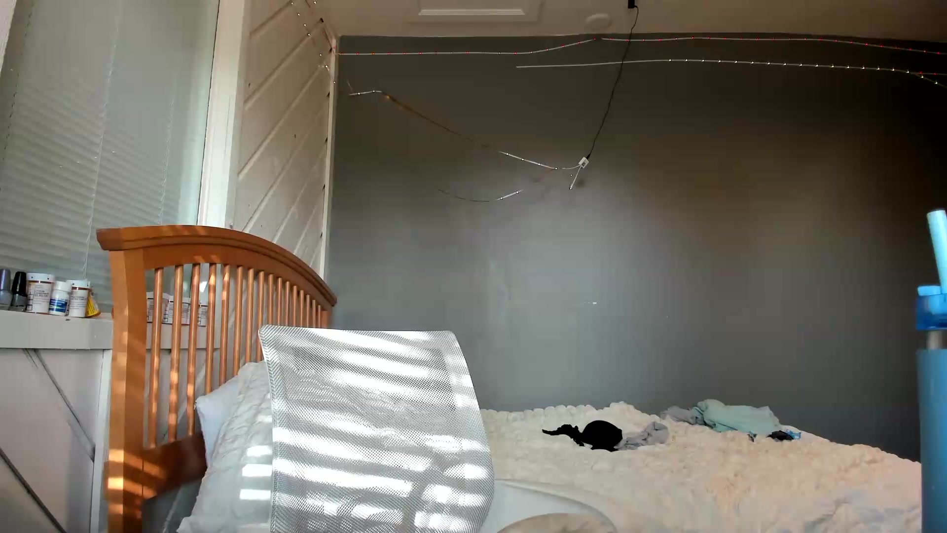 Gallery image thumbnail from JaylaBliss's myfreecams stream on, 09/16/2026, 22:54 image 18 of 20