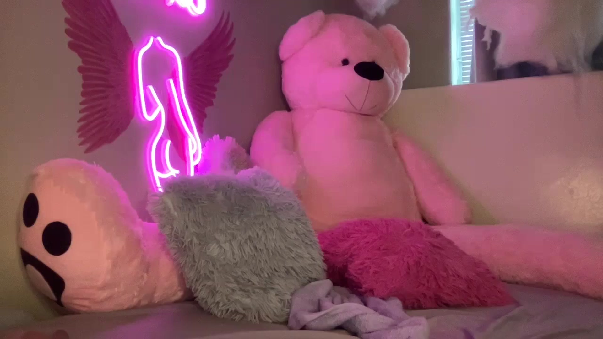 Gallery image thumbnail from JazmineJadexo's myfreecams stream on, 02/18/2024, 16:46 image 13 of 20