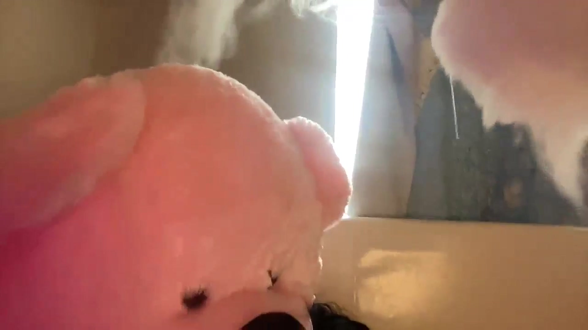 Gallery image thumbnail from JazmineJadexo's myfreecams stream on, 05/08/2024, 16:02 image 17 of 20