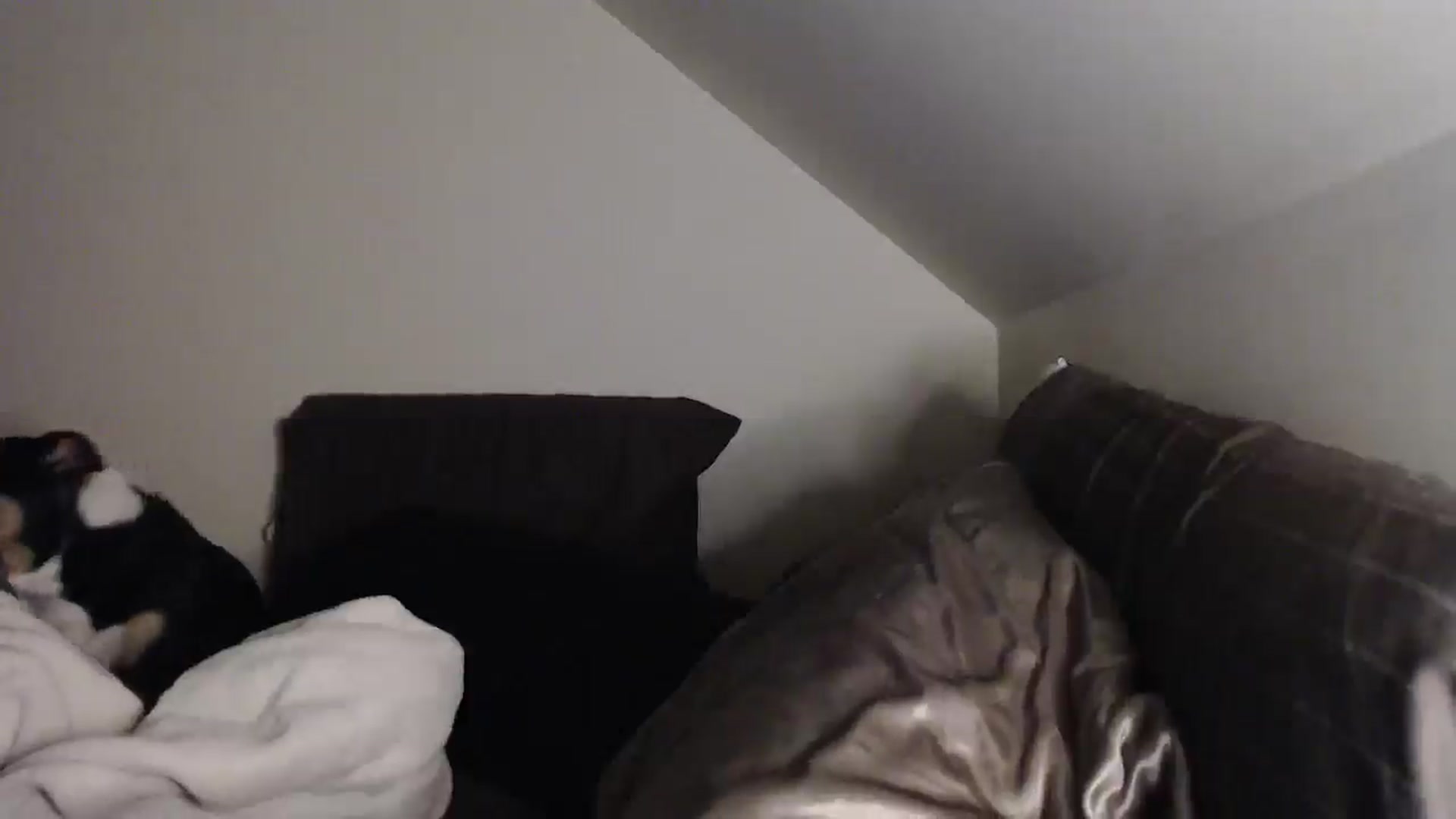 Gallery image thumbnail from JazzyBabe's myfreecams stream on, 01/30/2025, 22:37 image 14 of 20