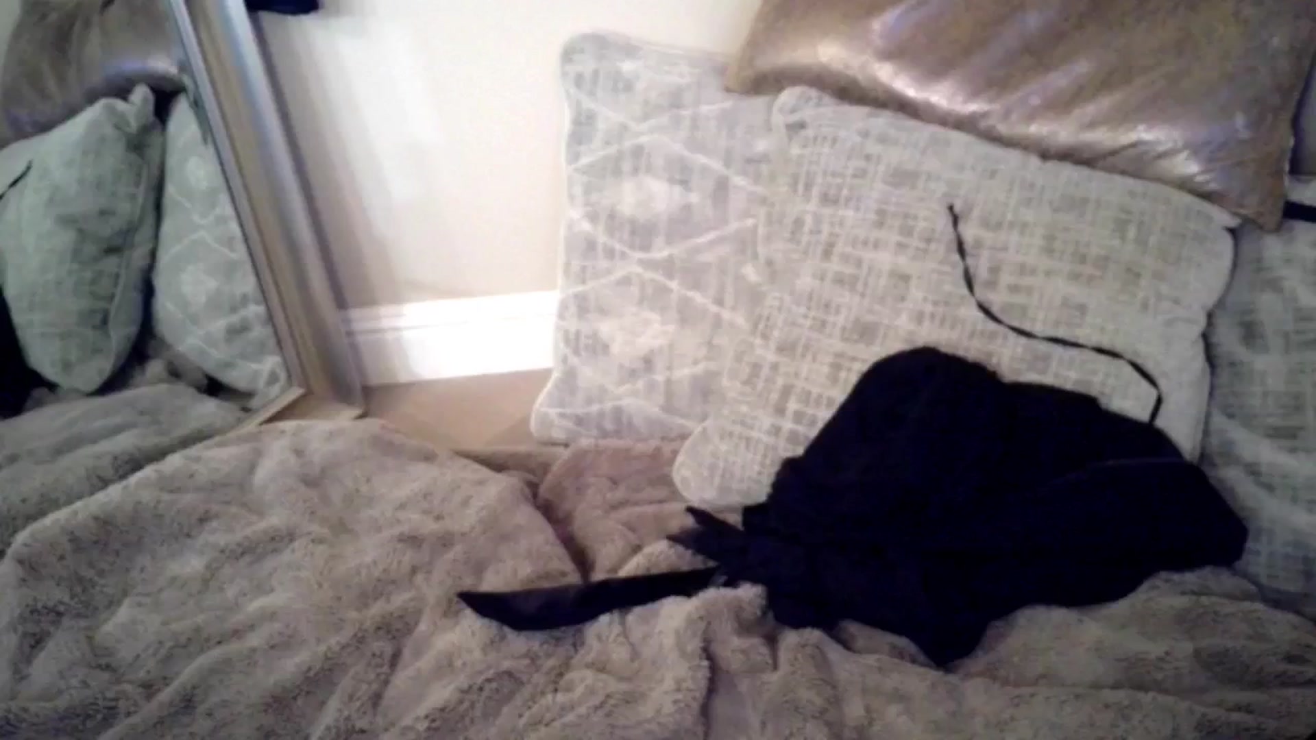 Gallery image thumbnail from JeansOnFire_'s myfreecams stream on, 09/22/2024, 03:12 image 1 of 20