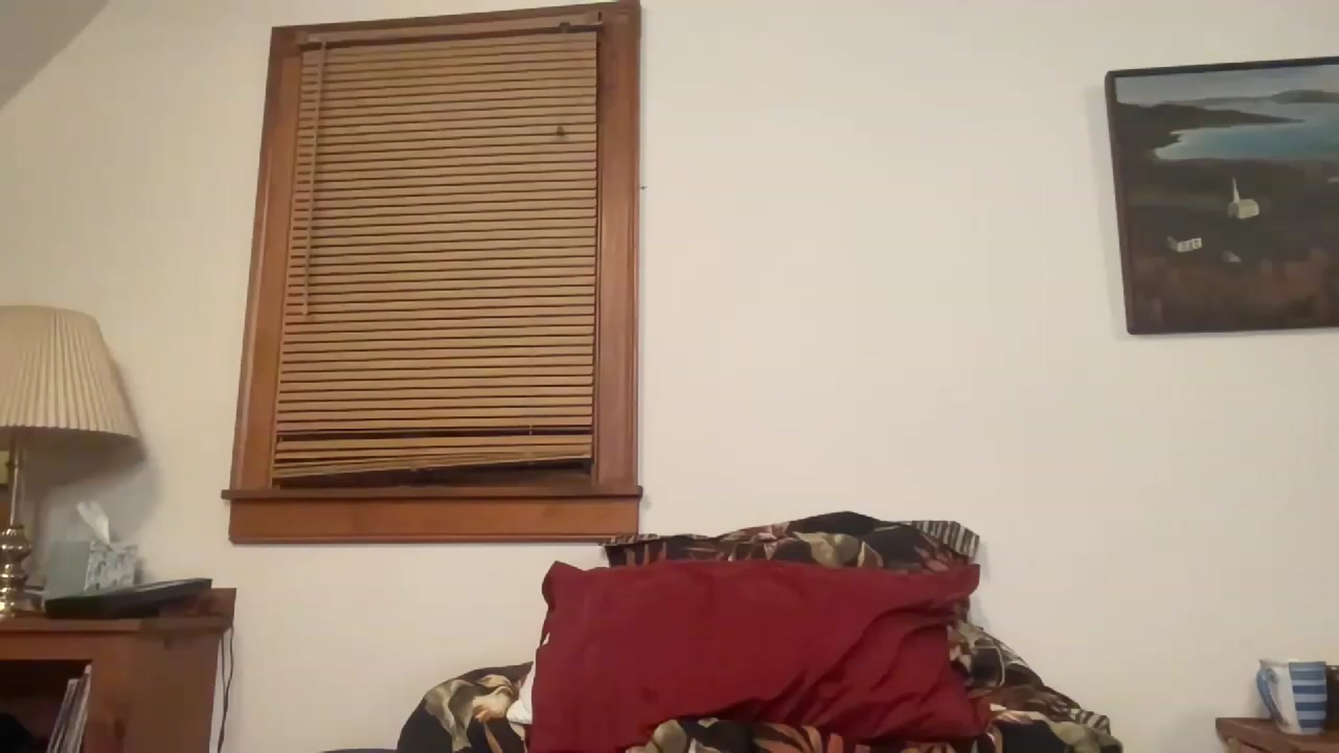 Gallery image thumbnail from JediDropout's myfreecams stream on, 01/01/2023, 09:30 image 4 of 20