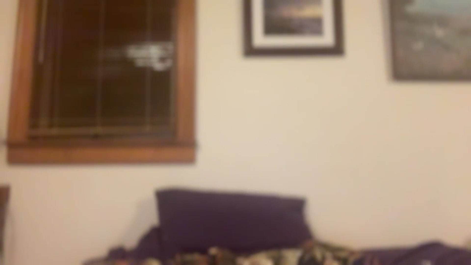 Gallery image thumbnail from JediDropout's myfreecams stream on, 11/20/2025, 09:52 image 3 of 20