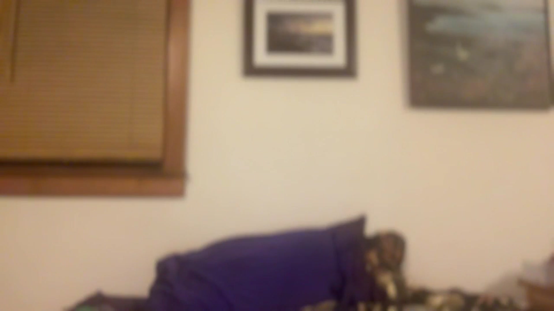 Gallery image thumbnail from JediDropout's myfreecams stream on, 12/12/2025, 09:05 image 12 of 20