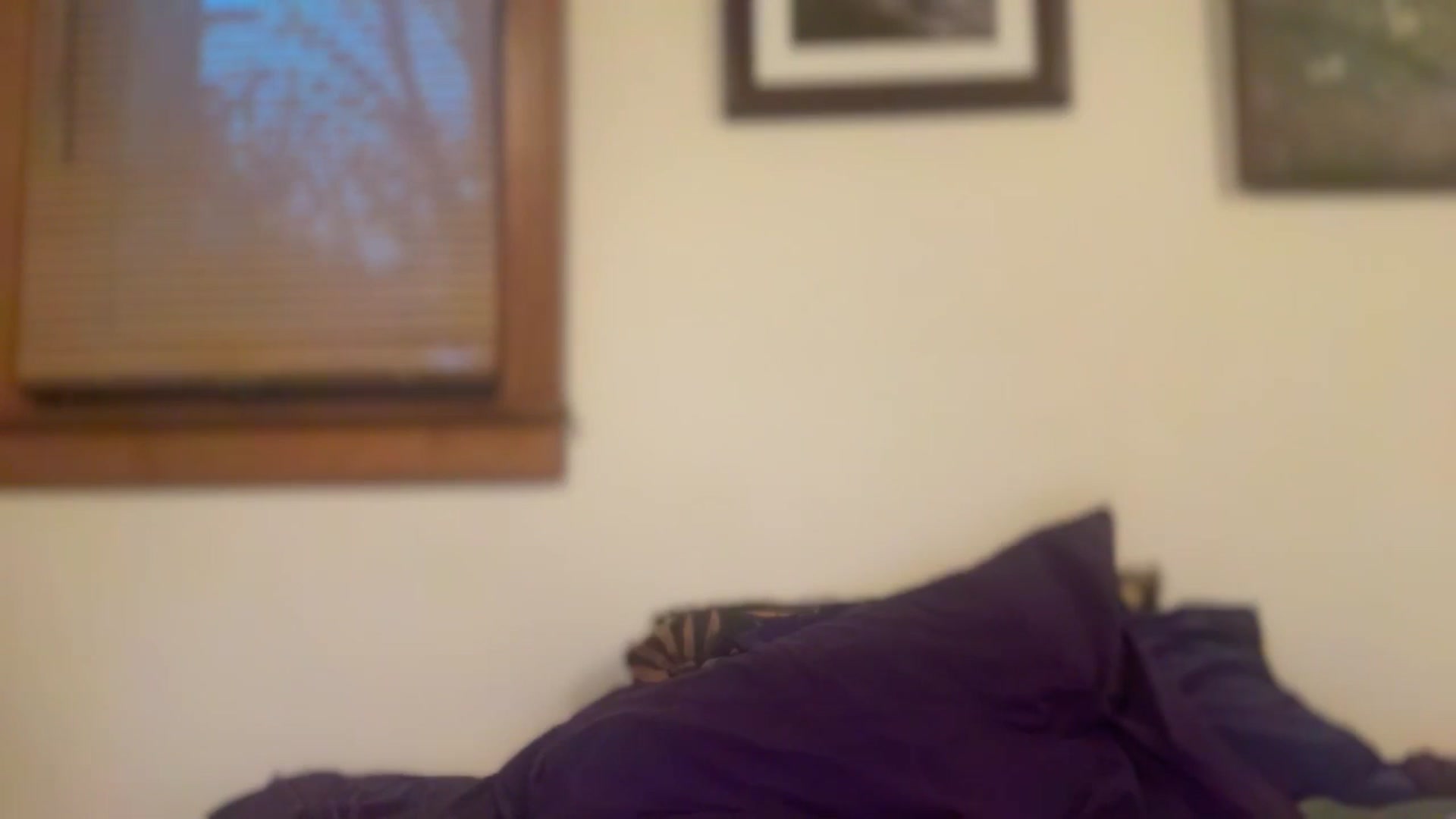 Gallery image thumbnail from JediDropout's myfreecams stream on, 12/14/2025, 12:36 image 19 of 20