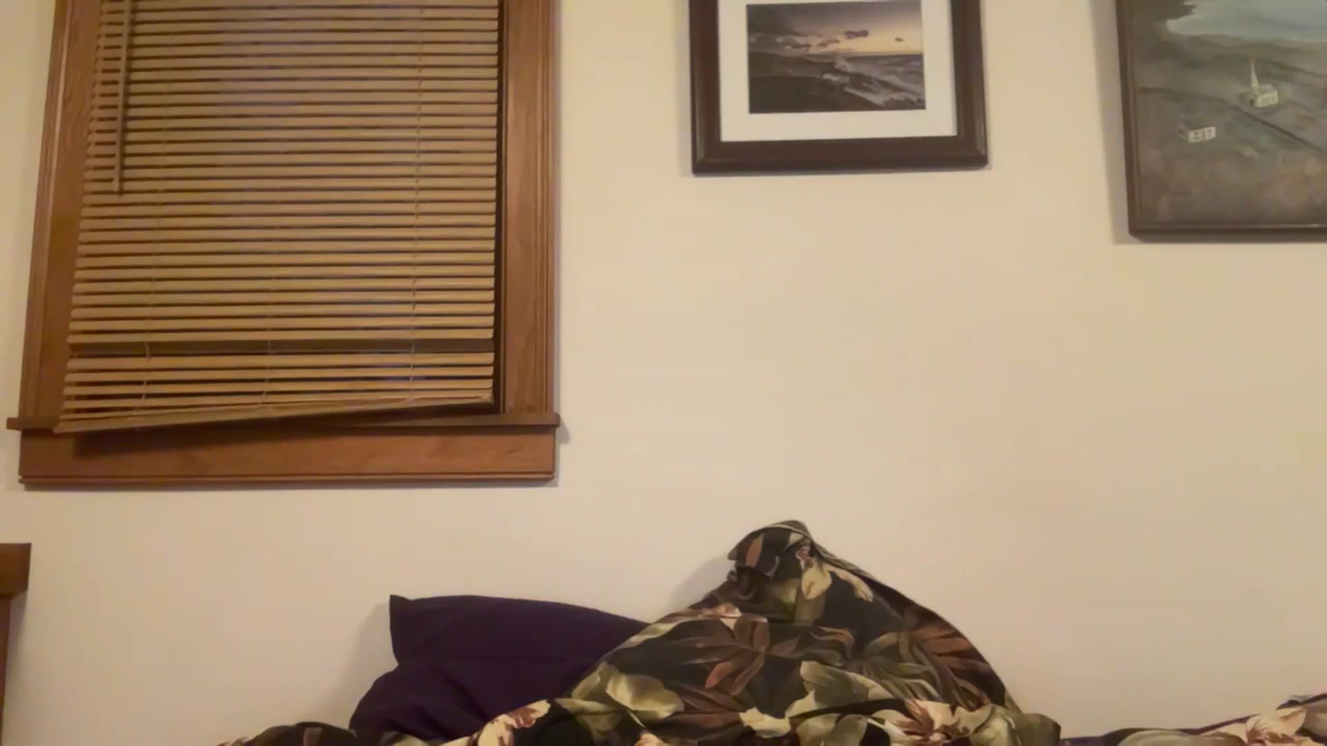 Gallery image thumbnail from JediDropout's myfreecams stream on, 04/23/2026, 11:22 image 2 of 20