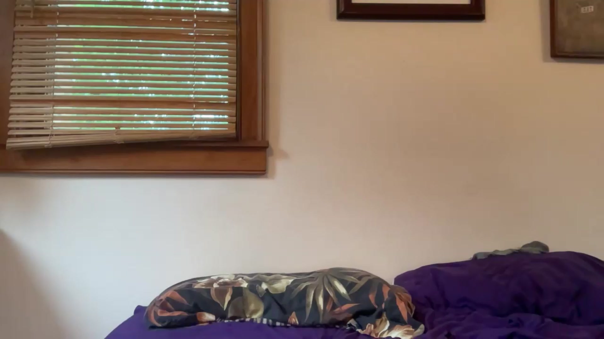 Gallery image thumbnail from JediDropout's myfreecams stream on, 05/14/2026, 16:45 image 3 of 20