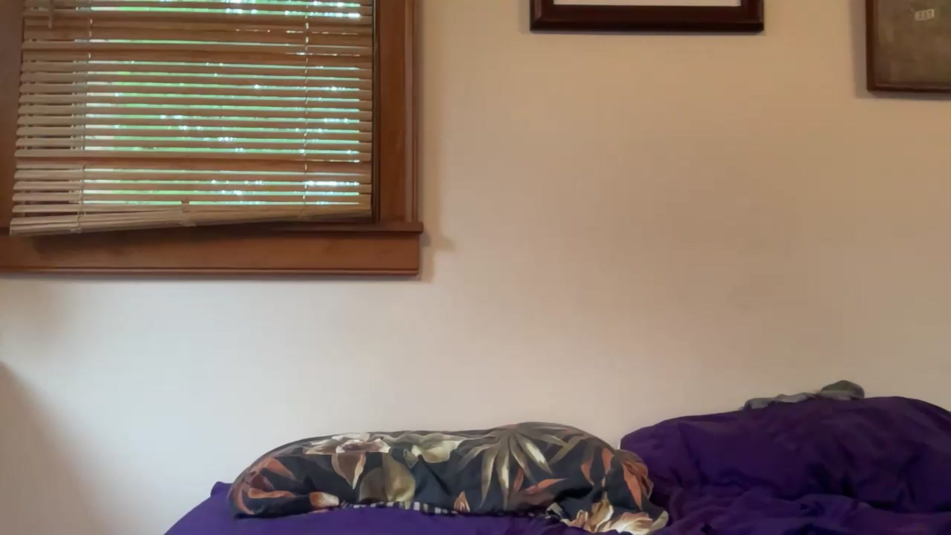 Gallery image thumbnail from JediDropout's myfreecams stream on, 05/14/2026, 16:45 image 5 of 20