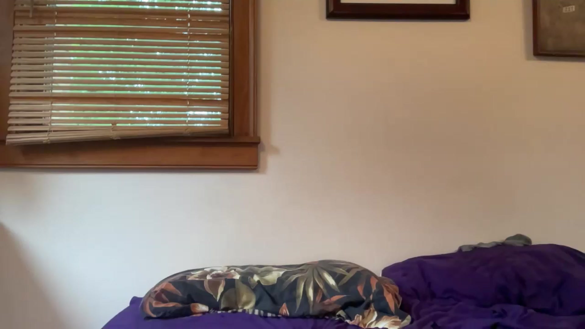 Gallery image thumbnail from JediDropout's myfreecams stream on, 05/14/2026, 16:45 image 2 of 20
