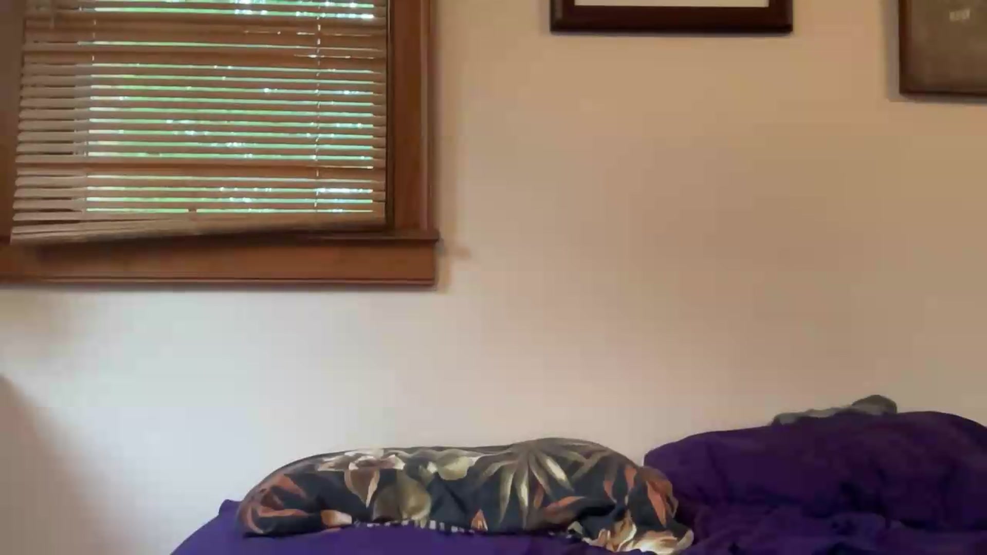 Gallery image thumbnail from JediDropout's myfreecams stream on, 05/14/2026, 16:45 image 6 of 20