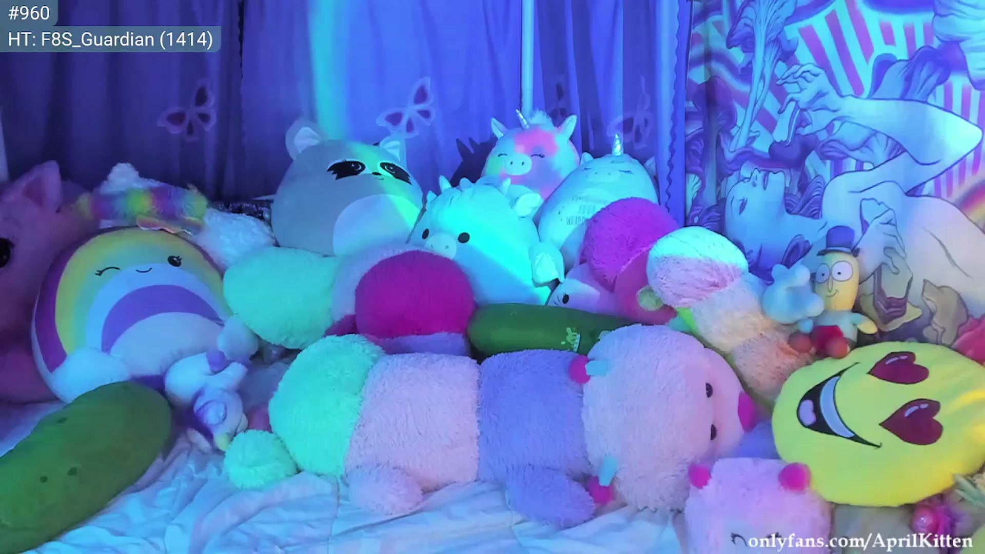Gallery image thumbnail from JediKitten's myfreecams stream on, 02/12/2023, 09:47 image 7 of 20