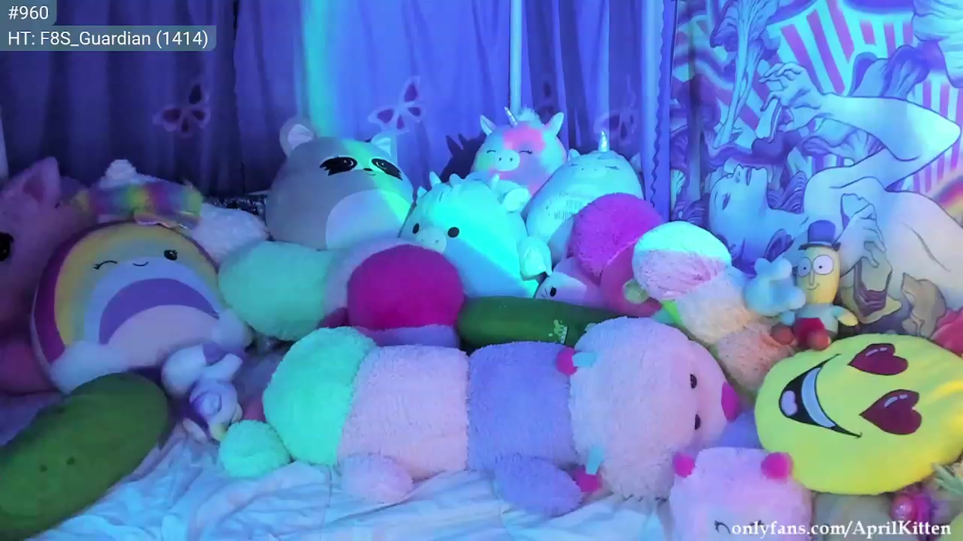 Gallery image thumbnail from JediKitten's myfreecams stream on, 02/12/2023, 09:47 image 6 of 20