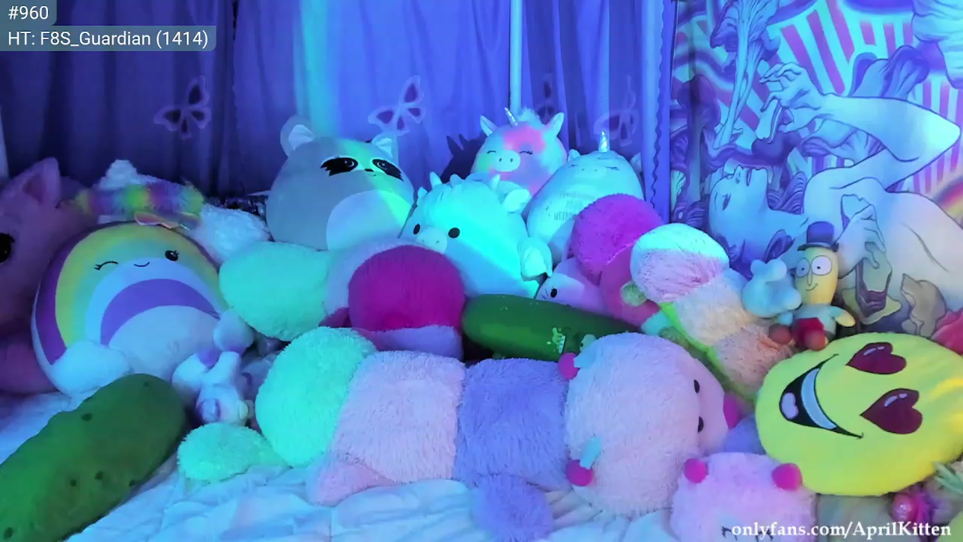 Gallery image thumbnail from JediKitten's myfreecams stream on, 02/12/2023, 09:47 image 3 of 20