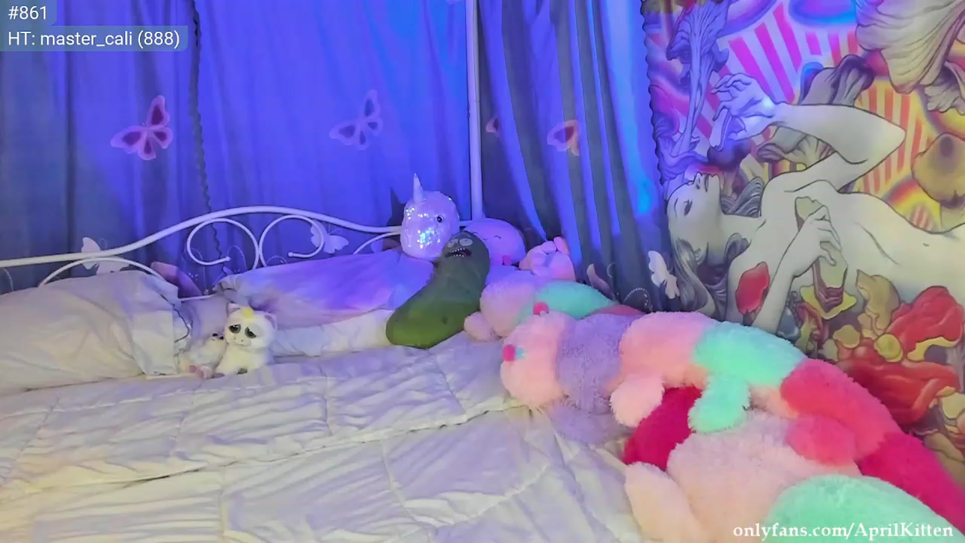 Gallery image thumbnail from JediKitten's myfreecams stream on, 02/18/2023, 07:17 image 2 of 20