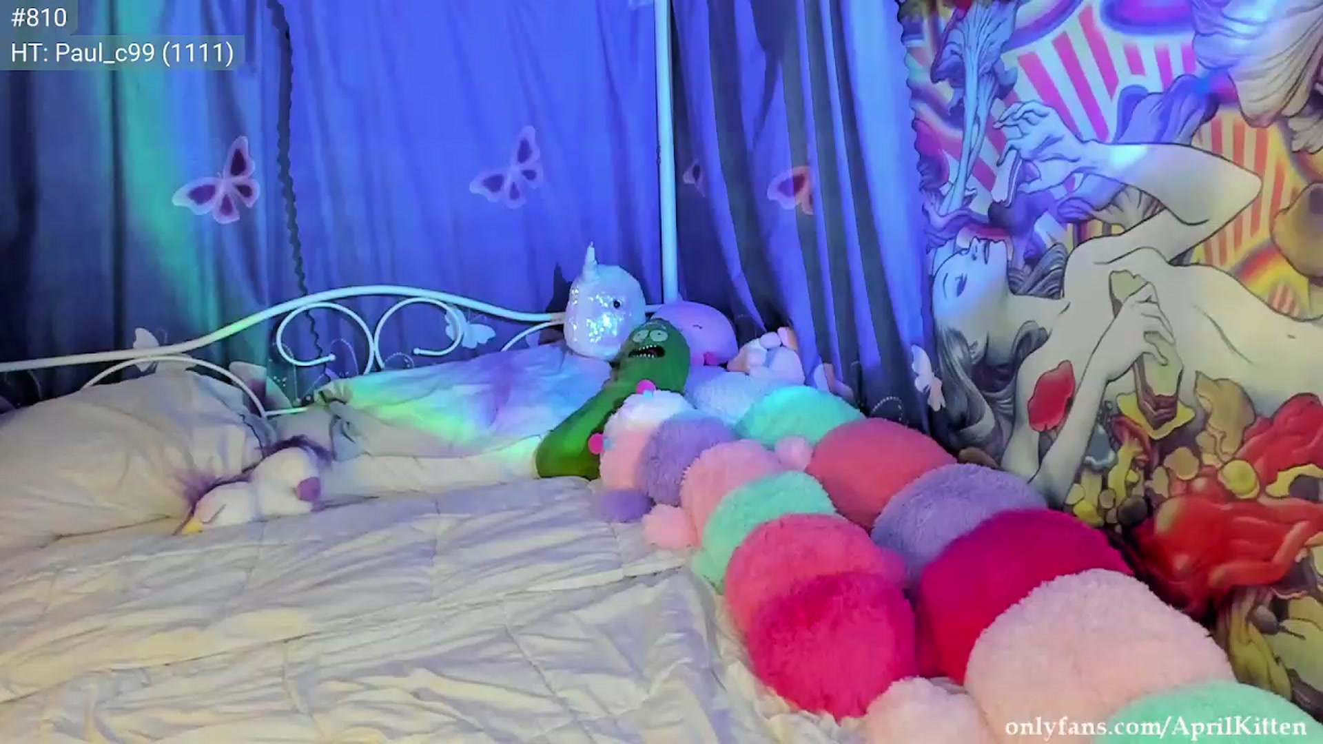 Gallery image thumbnail from JediKitten's myfreecams stream on, 02/18/2023, 07:17 image 12 of 20