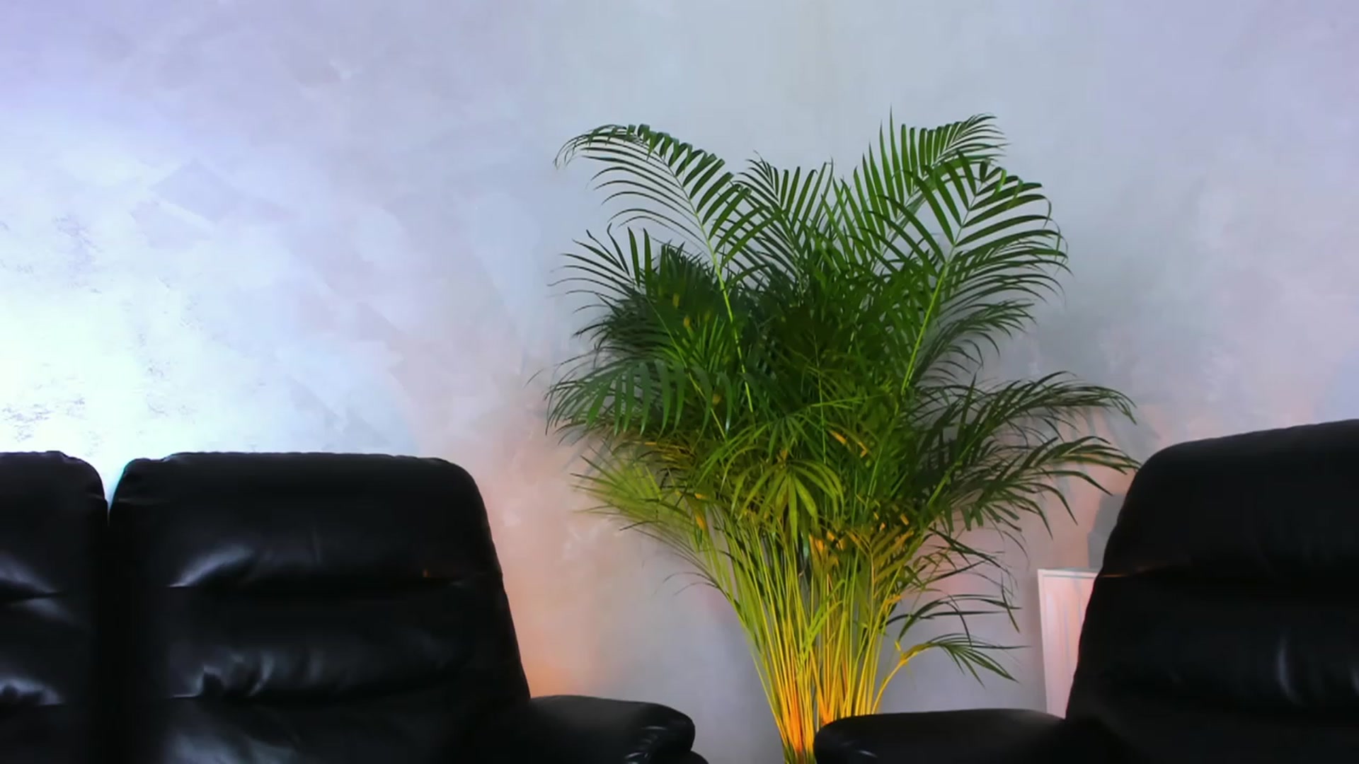 Gallery image thumbnail from Jelisse_J's myfreecams stream on, 03/05/2024, 15:10 image 18 of 20