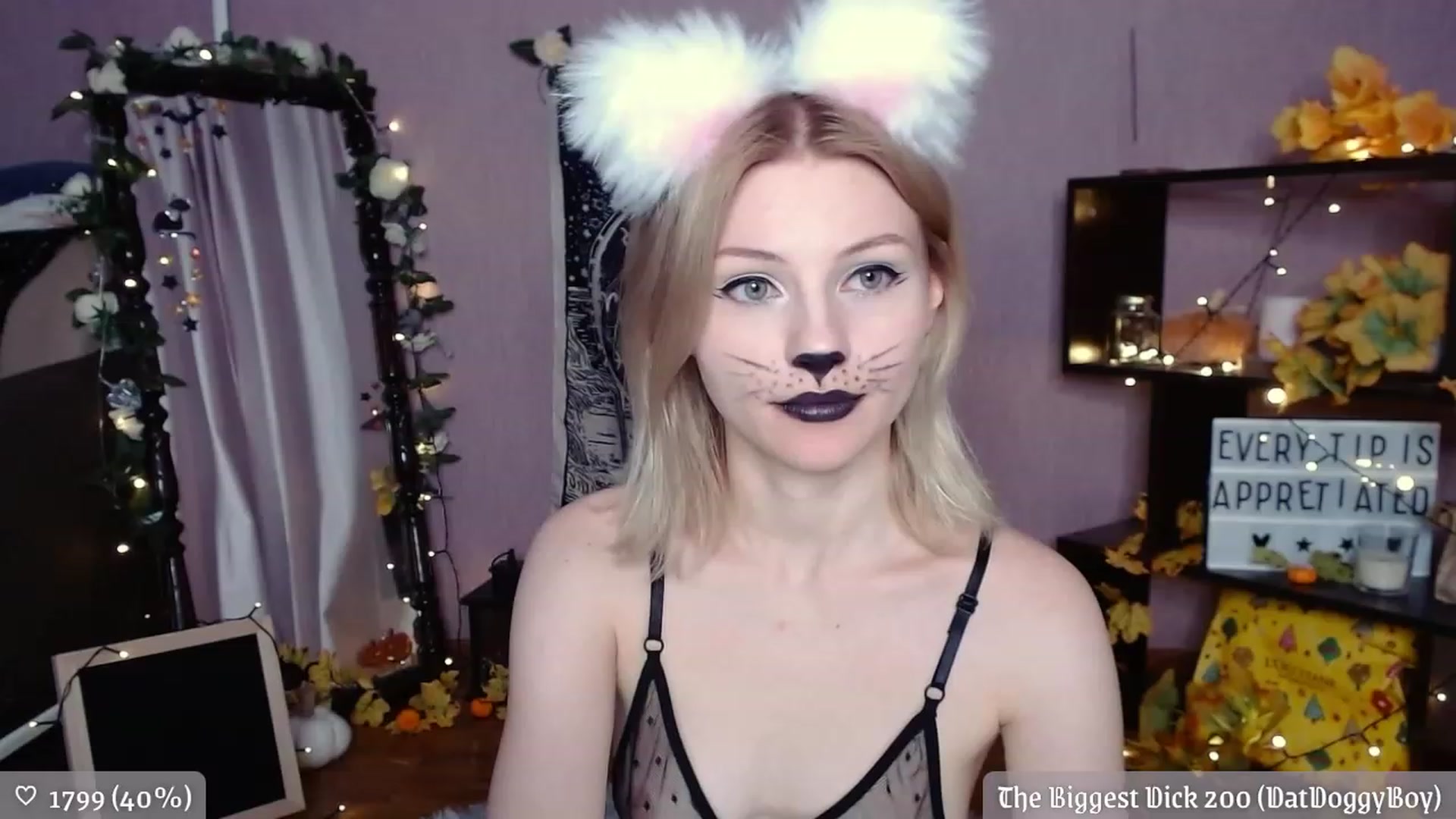 Gallery image thumbnail from JellyFox's myfreecams stream on, 11/20/2022, 03:19 image 20 of 20