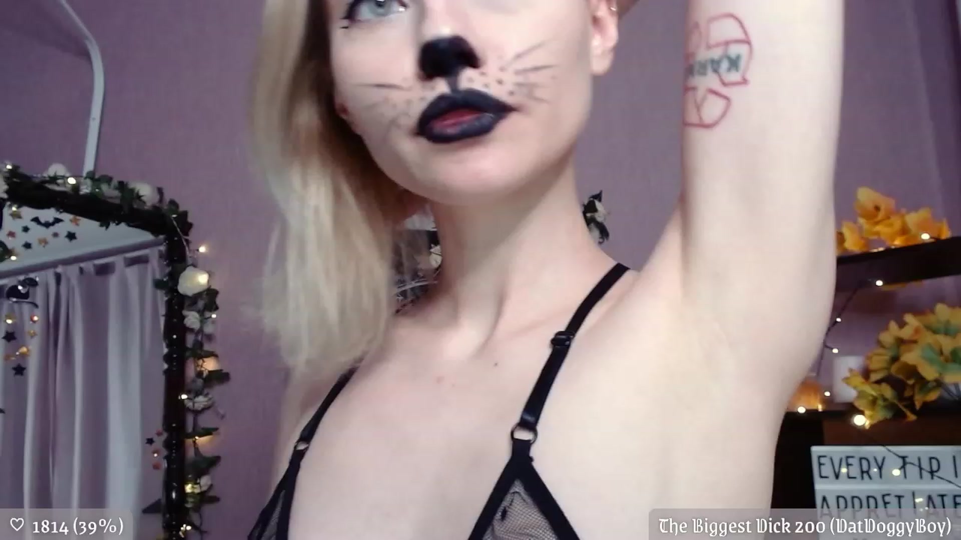 Gallery image thumbnail from JellyFox's myfreecams stream on, 11/20/2022, 03:19 image 15 of 20