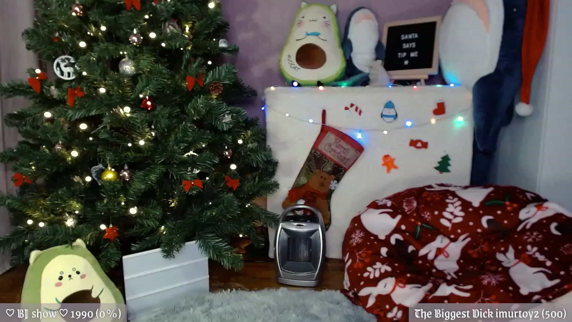Gallery image thumbnail from JellyFox's myfreecams stream on, 12/25/2022, 05:39 image 13 of 20