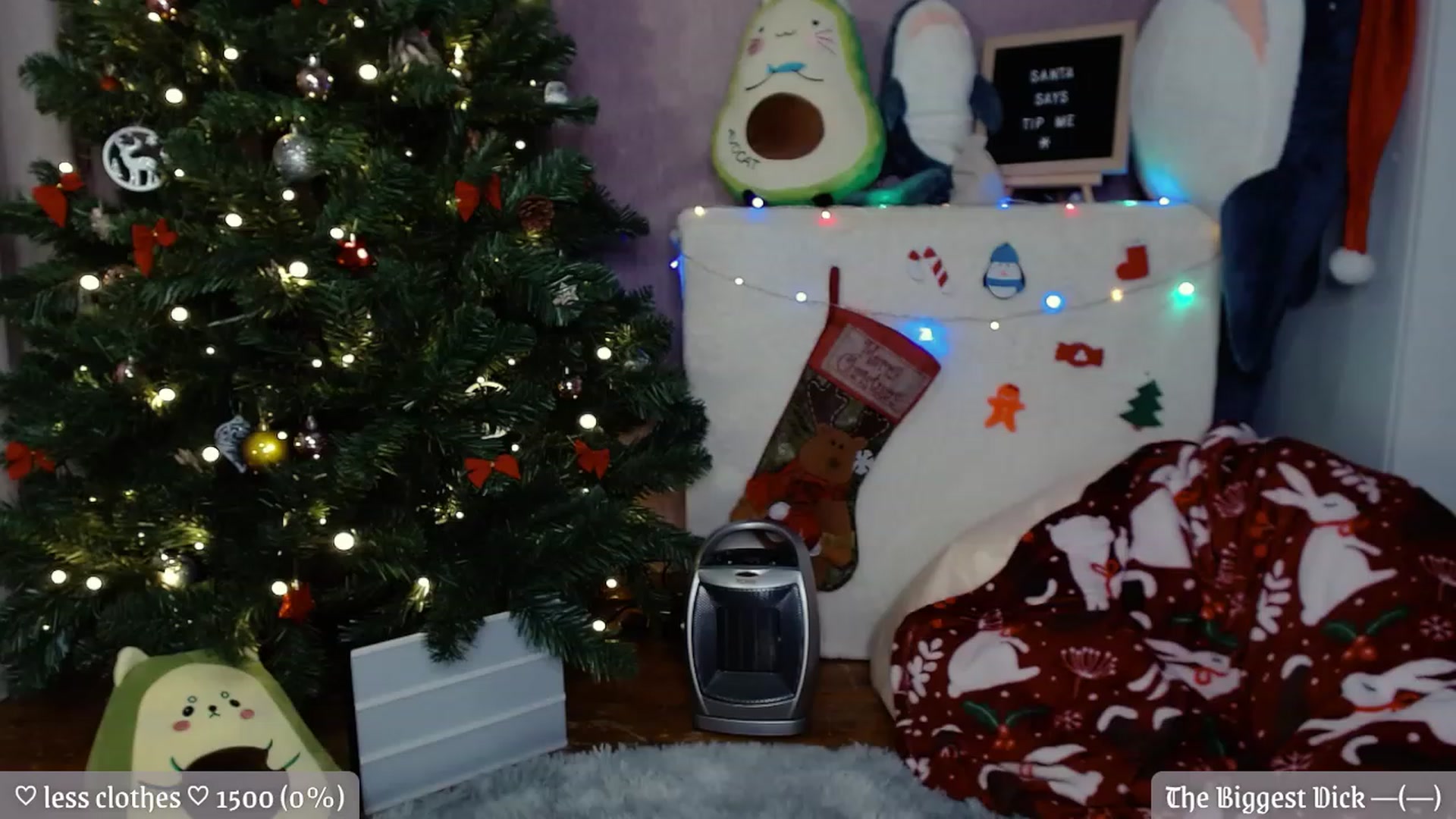 Gallery image thumbnail from JellyFox's myfreecams stream on, 12/26/2022, 02:57 image 17 of 20