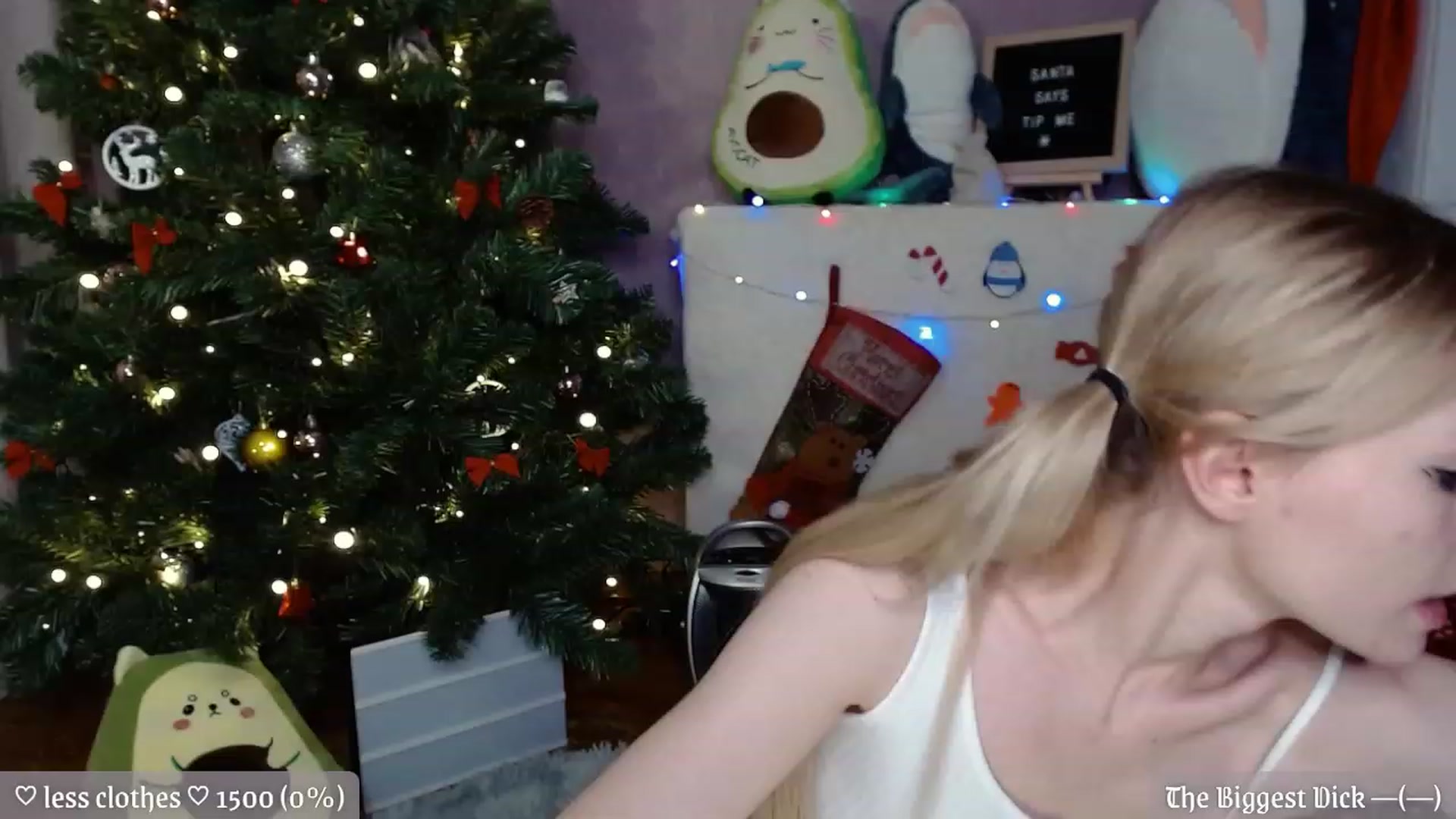 Gallery image thumbnail from JellyFox's myfreecams stream on, 12/26/2022, 02:57 image 19 of 20