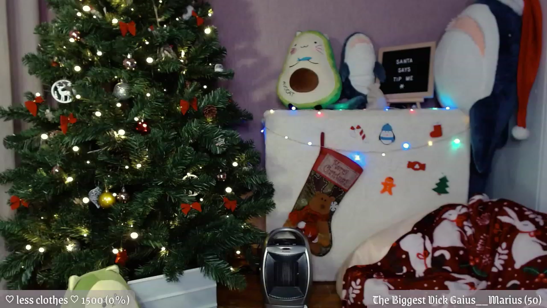 Gallery image thumbnail from JellyFox's myfreecams stream on, 12/26/2022, 07:39 image 9 of 20