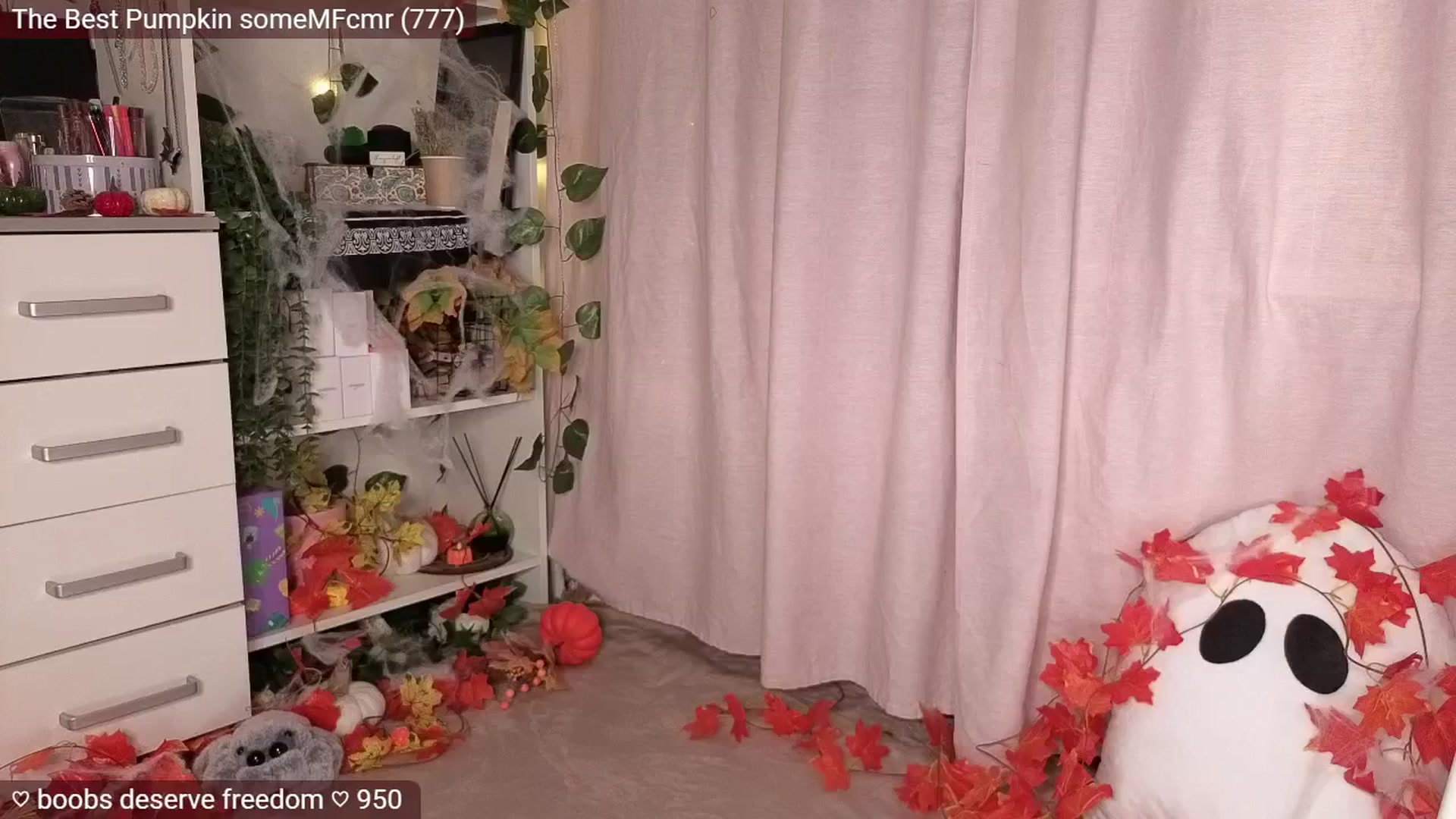 Gallery image thumbnail from JellyFox's myfreecams stream on, 11/05/2025, 06:17 image 20 of 20