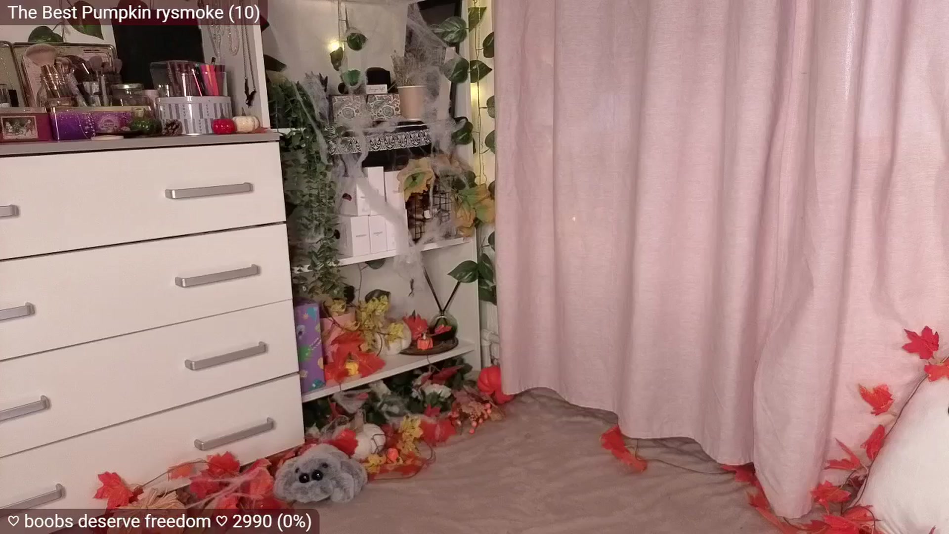 Gallery image thumbnail from JellyFox's myfreecams stream on, 11/08/2025, 07:36 image 16 of 20