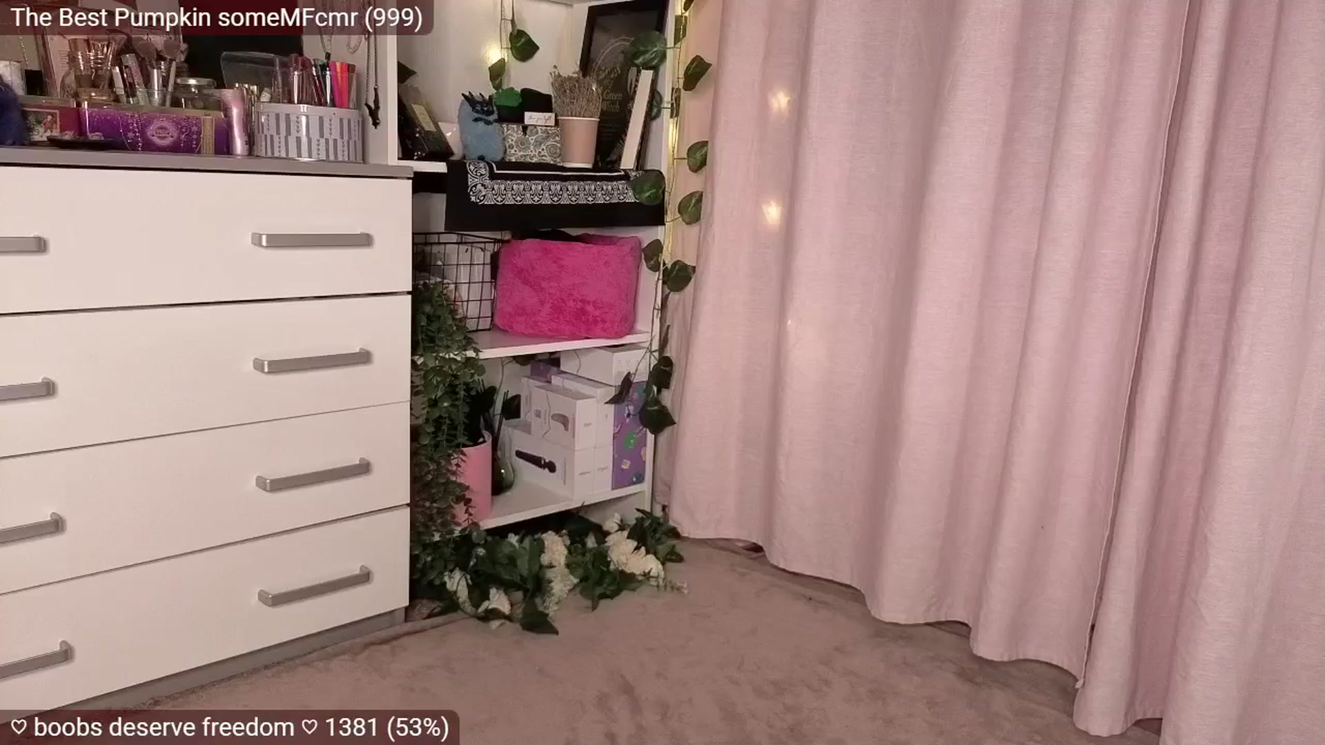 Gallery image thumbnail from JellyFox's myfreecams stream on, 11/19/2025, 04:55 image 20 of 20