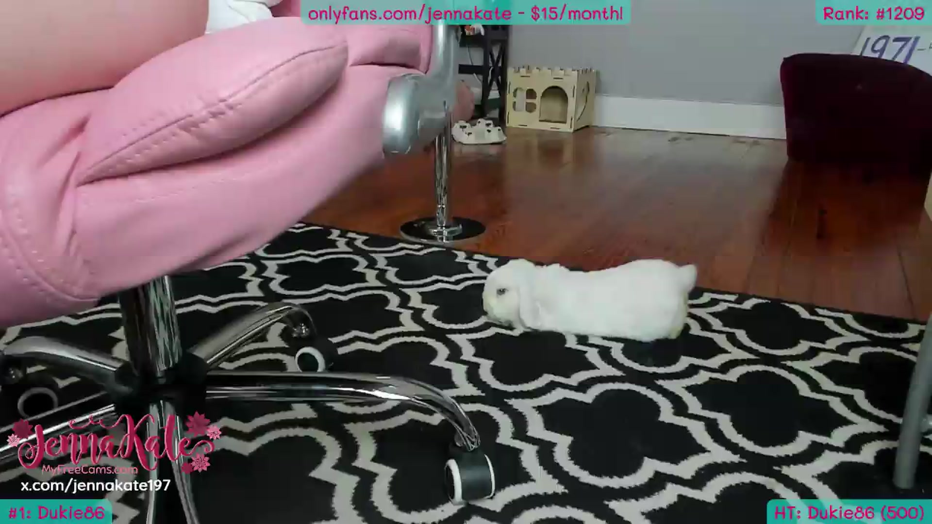 Gallery image thumbnail from JennaKate's myfreecams stream on, 08/24/2026, 05:04 image 4 of 20