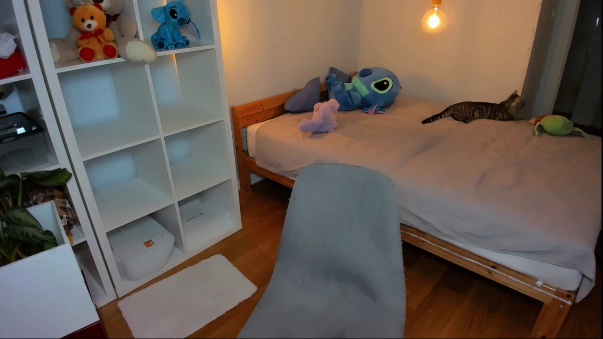 Gallery image thumbnail from Jennifercutie's myfreecams stream on, 07/28/2024, 18:46 image 15 of 20