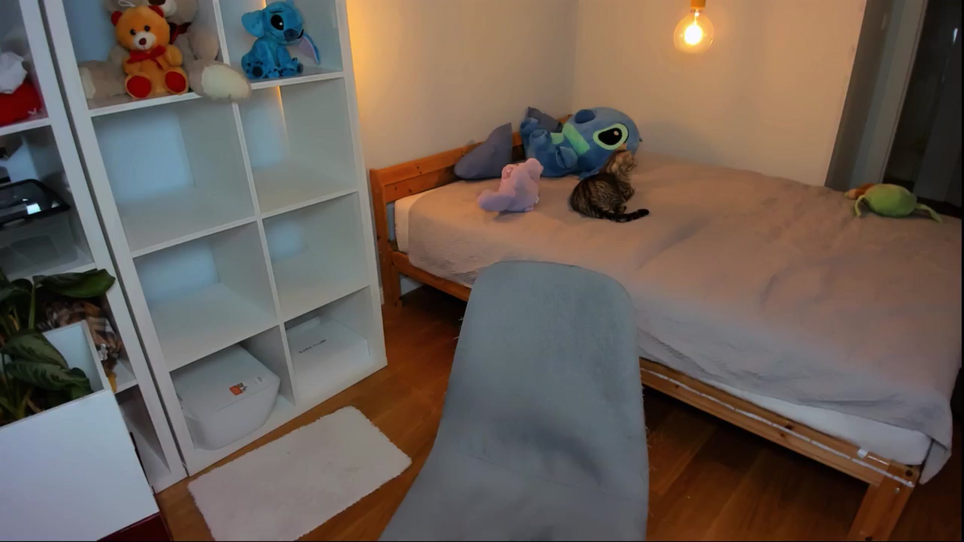 Gallery image thumbnail from Jennifercutie's myfreecams stream on, 07/28/2024, 18:46 image 13 of 20