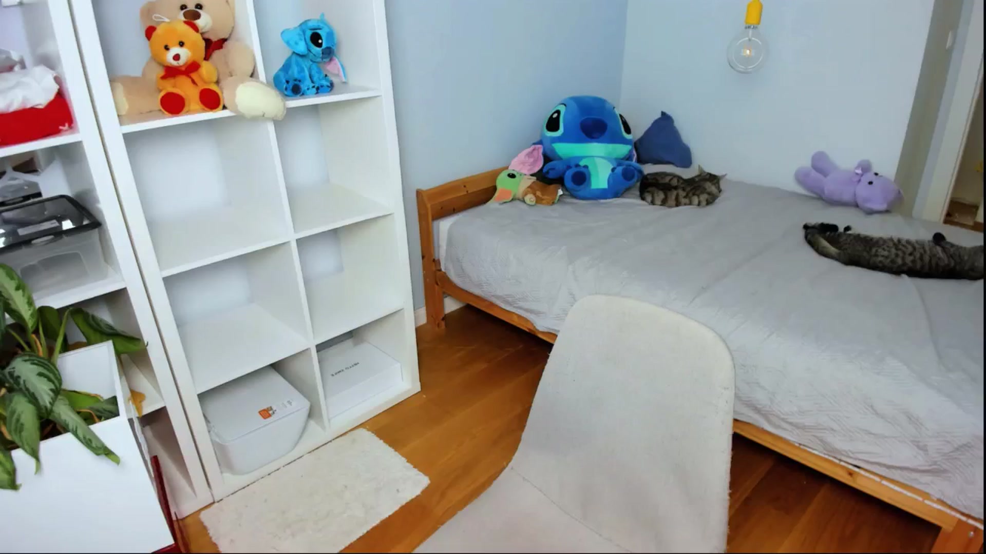 Gallery image thumbnail from Jennifercutie's myfreecams stream on, 08/10/2024, 17:25 image 7 of 20