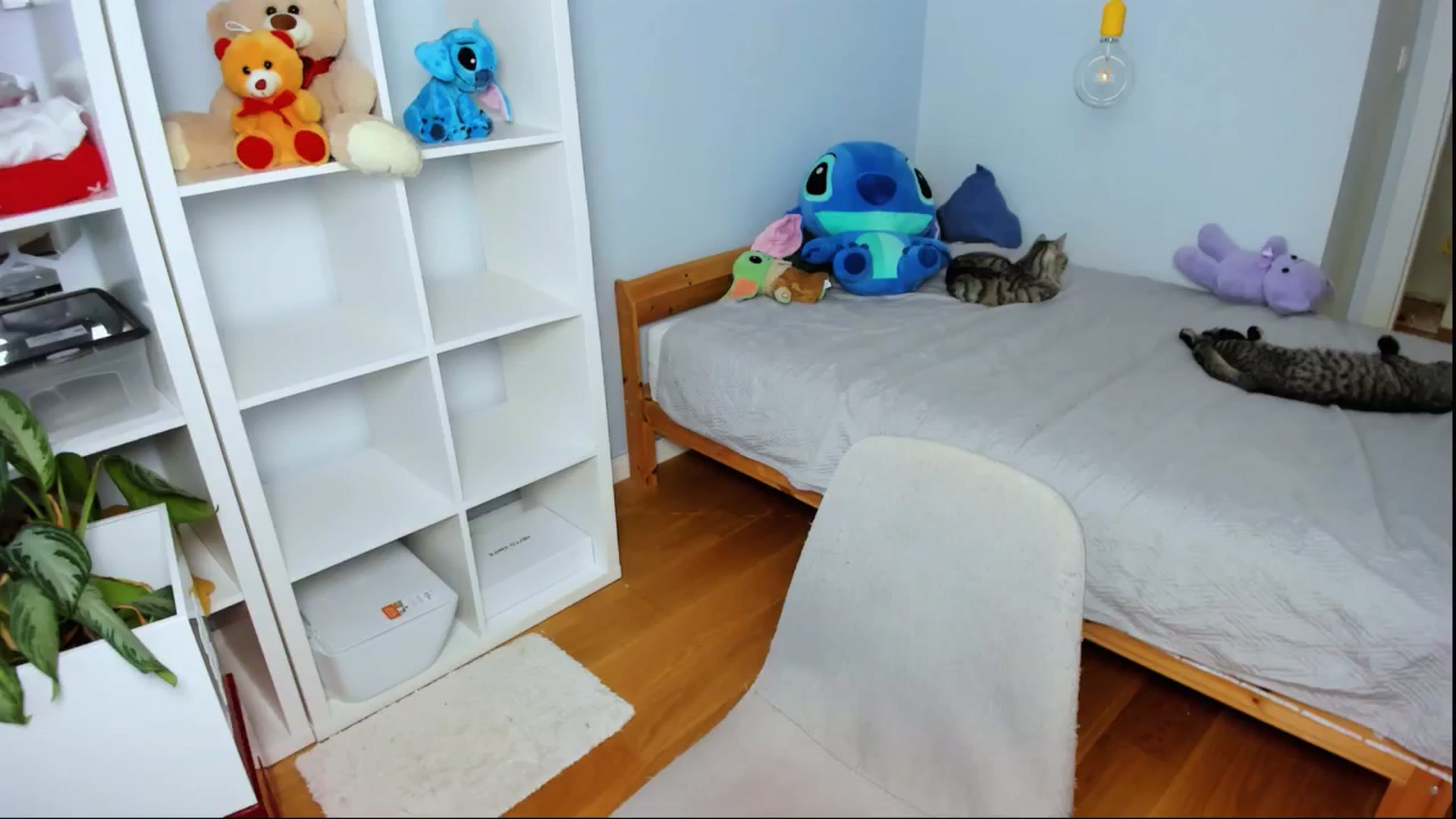 Gallery image thumbnail from Jennifercutie's myfreecams stream on, 08/10/2024, 17:25 image 5 of 20