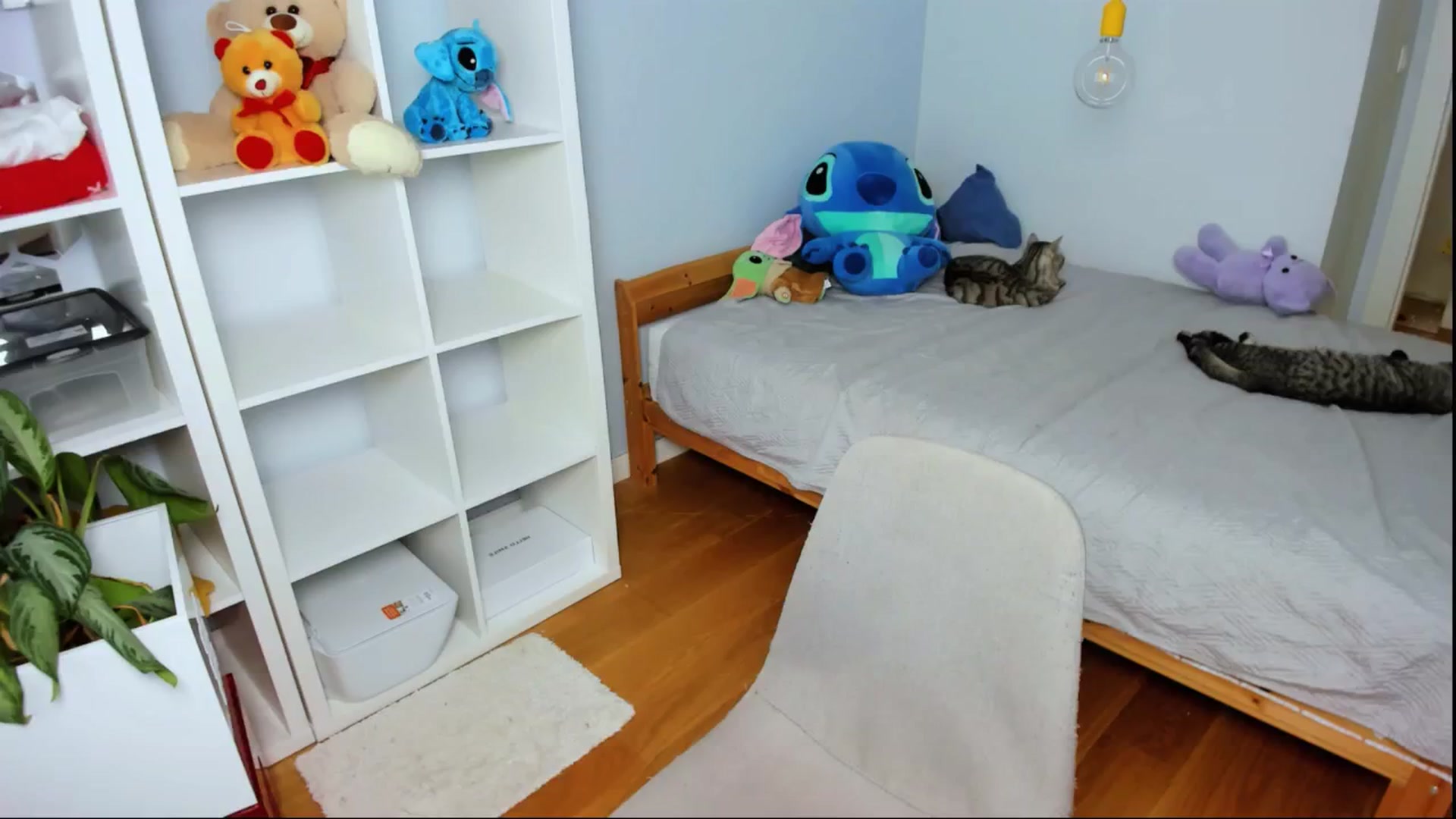 Gallery image thumbnail from Jennifercutie's myfreecams stream on, 08/10/2024, 17:25 image 9 of 20
