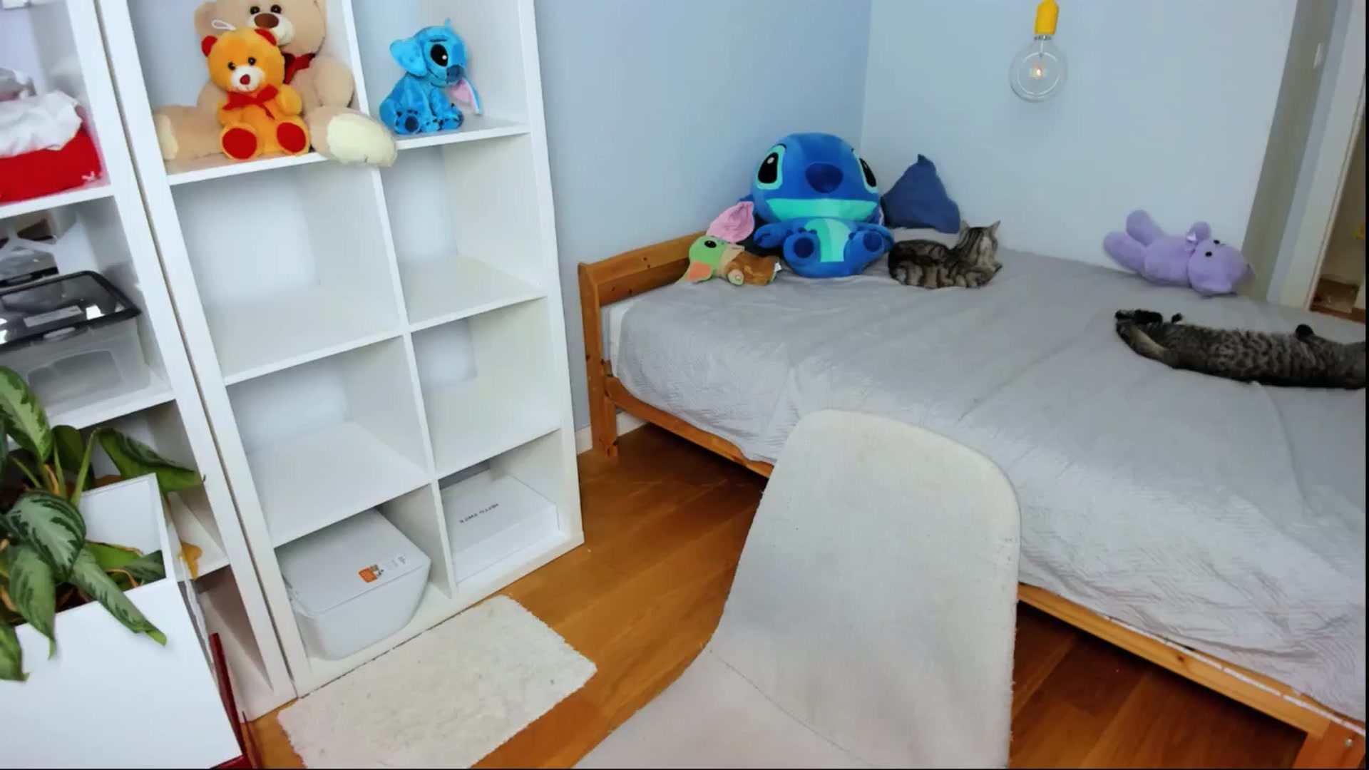 Gallery image thumbnail from Jennifercutie's myfreecams stream on, 08/10/2024, 17:25 image 8 of 20