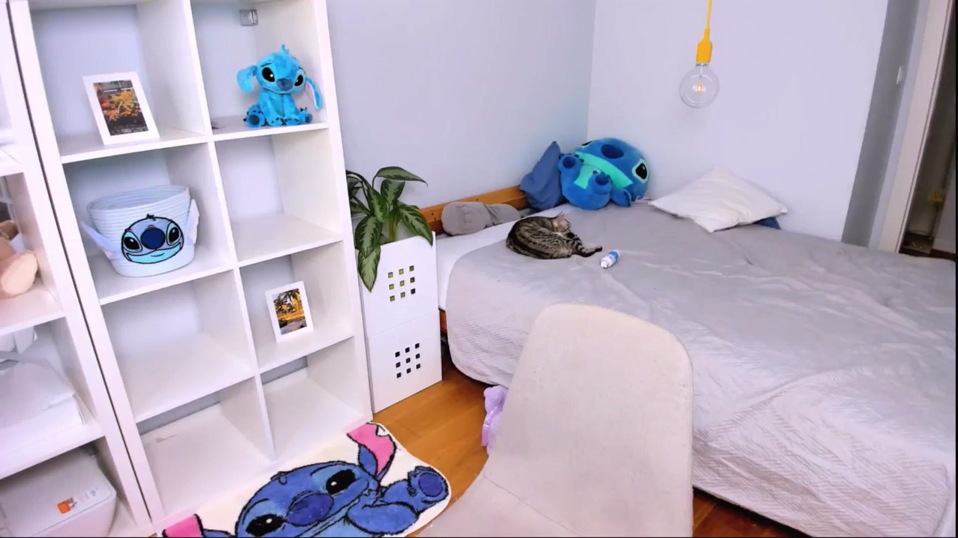 Gallery image thumbnail from Jennifercutie's myfreecams stream on, 09/26/2024, 13:43 image 3 of 20