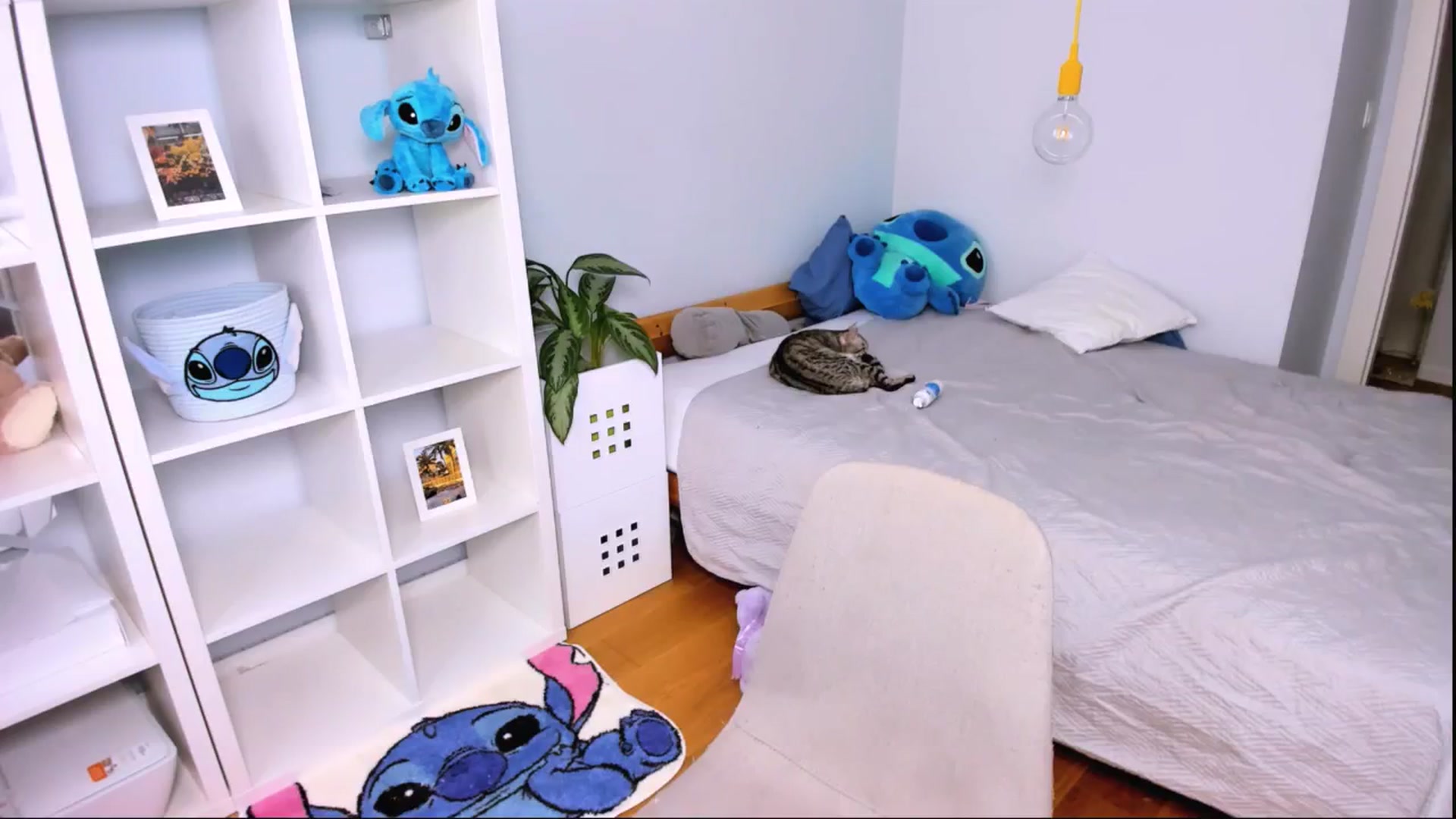 Gallery image thumbnail from Jennifercutie's myfreecams stream on, 09/26/2024, 13:43 image 2 of 20