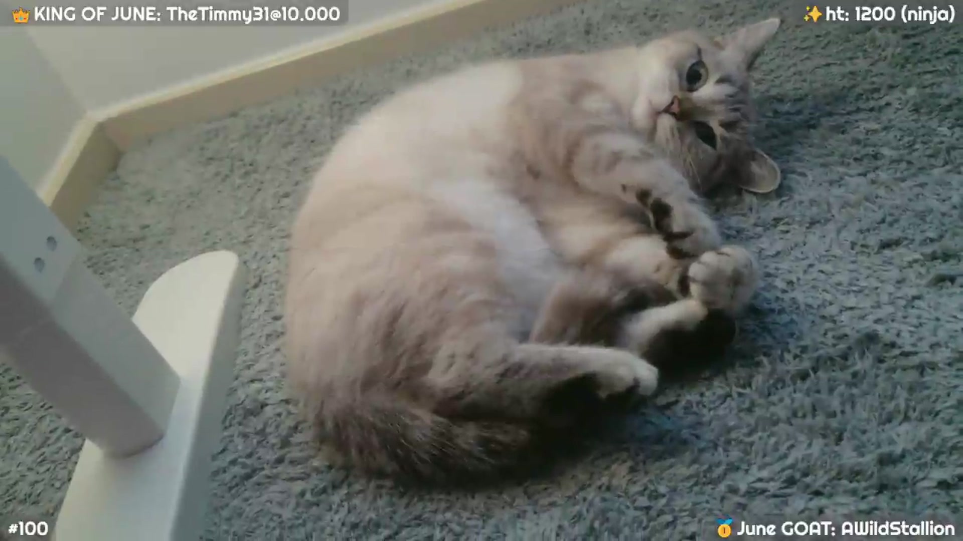 Gallery image thumbnail from JennyBear's myfreecams stream on, 06/19/2026, 20:21 image 6 of 20
