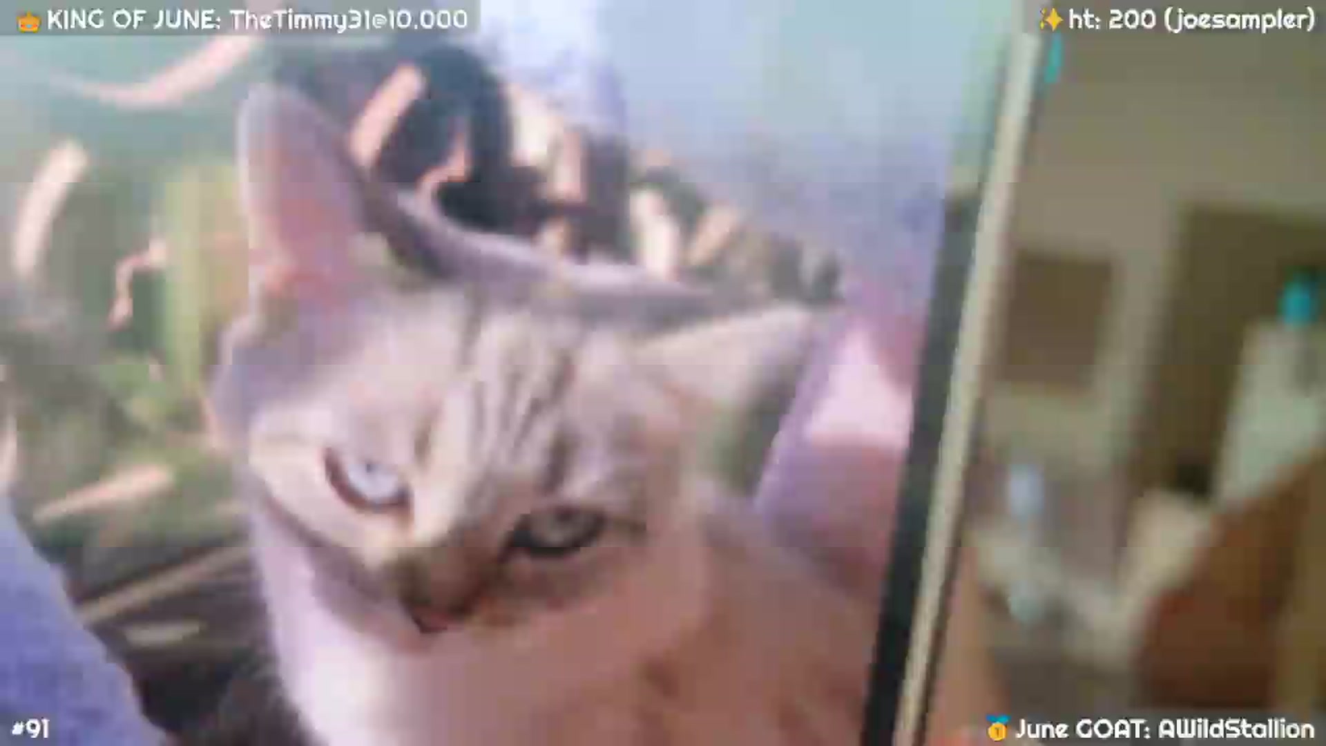 Gallery image thumbnail from JennyBear's myfreecams stream on, 06/20/2026, 18:13 image 1 of 20