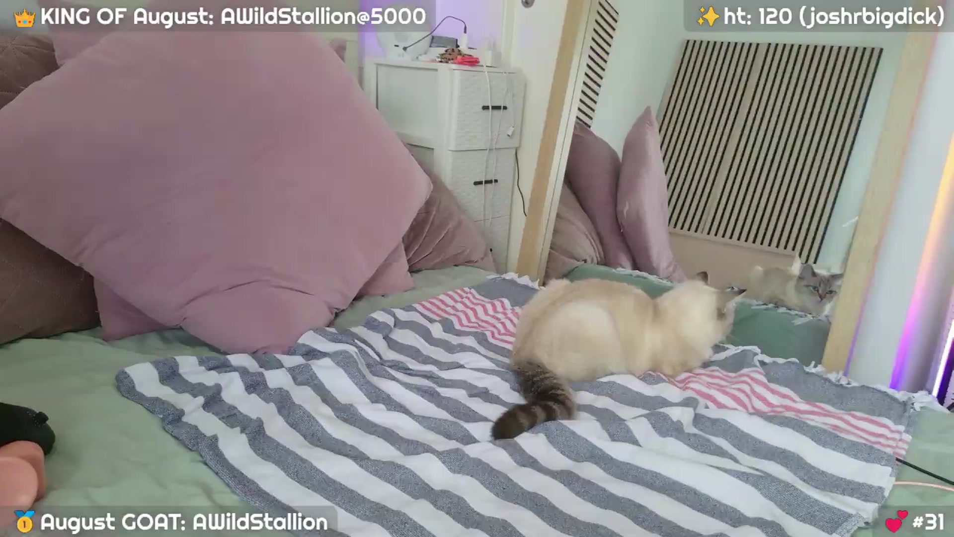 Gallery image thumbnail from JennyBear's myfreecams stream on, 08/14/2026, 16:08 image 6 of 20