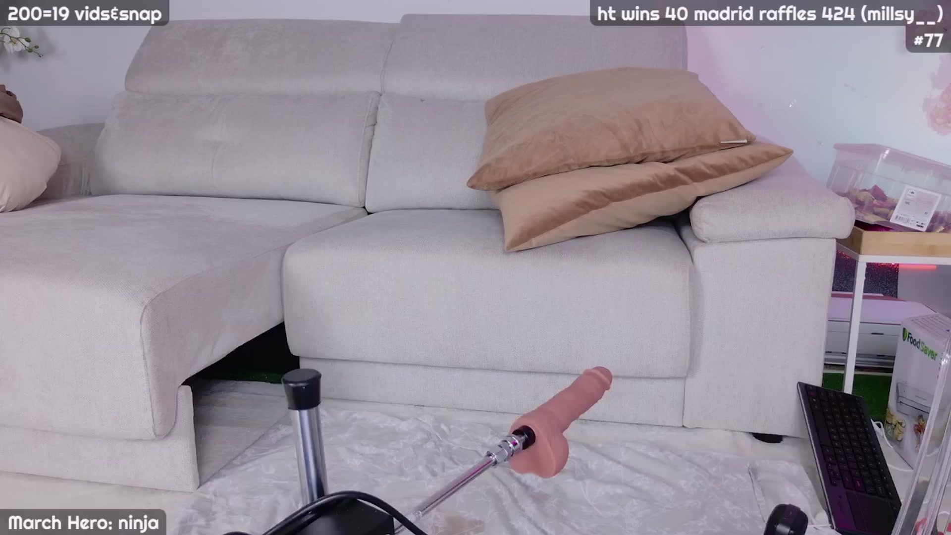 Gallery image thumbnail from JennyXO's myfreecams stream on, 03/26/2024, 01:57 image 13 of 20