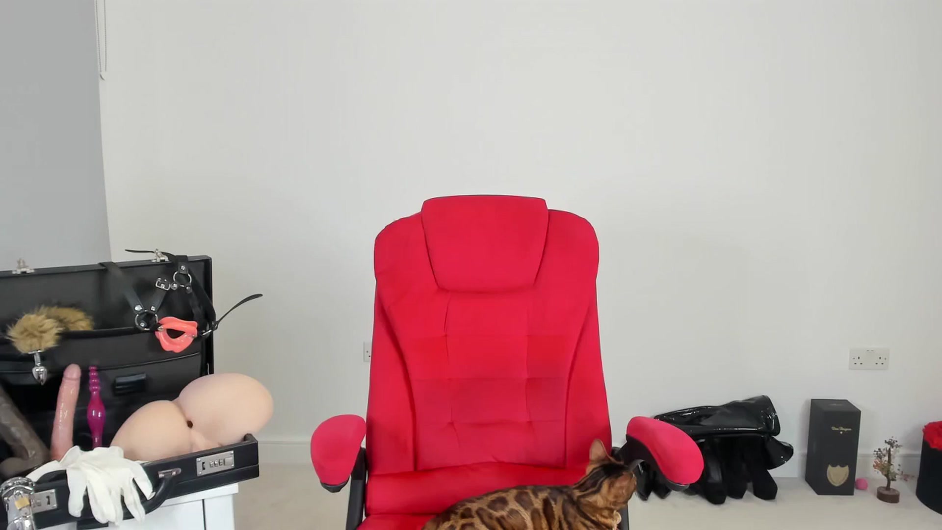 Gallery image thumbnail from JesicaCoper's myfreecams stream on, 11/20/2024, 02:17 image 20 of 20