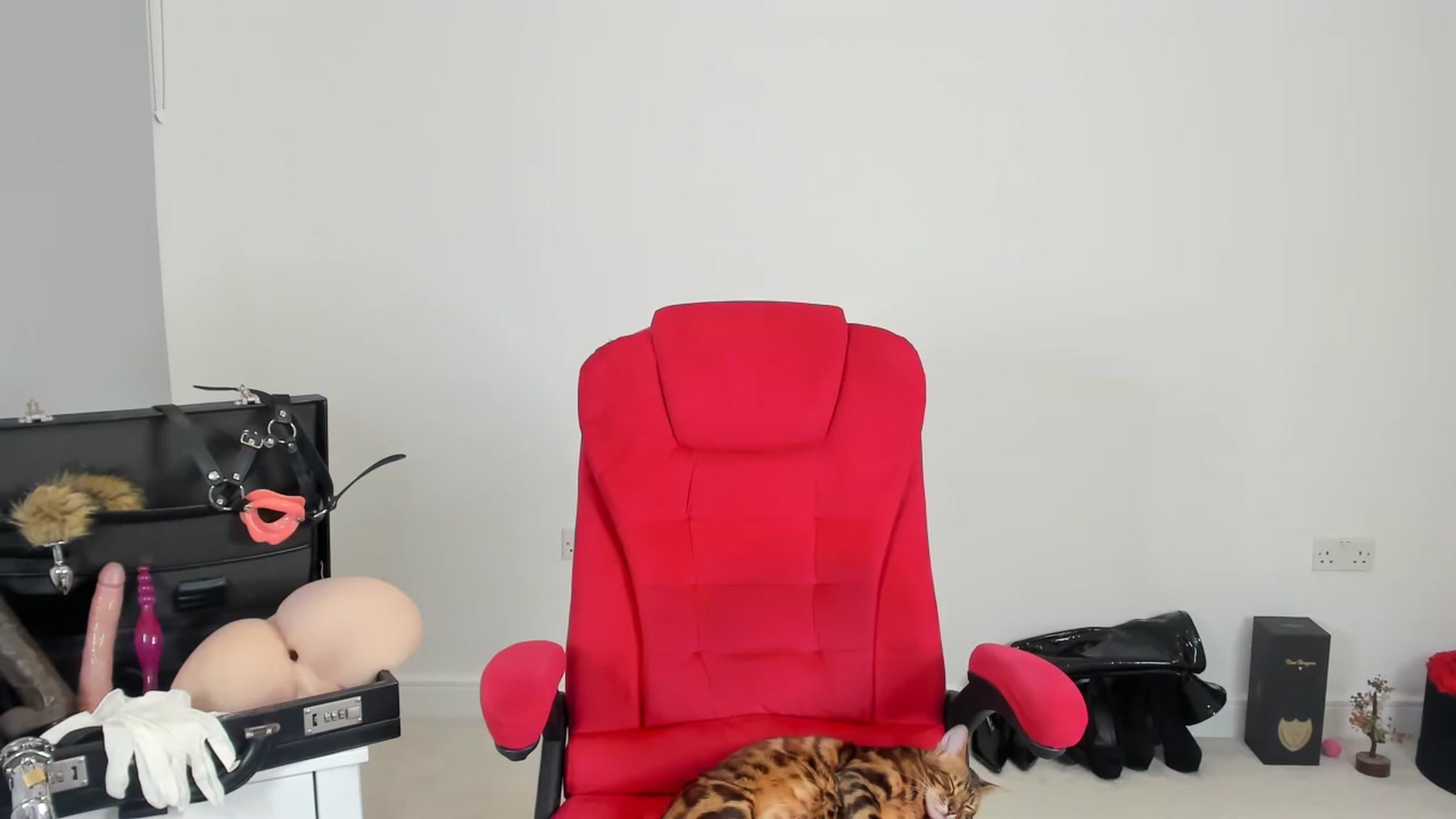 Gallery image thumbnail from JesicaCoper's myfreecams stream on, 11/20/2024, 02:17 image 18 of 20