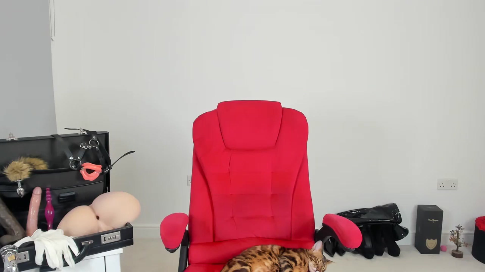 Gallery image thumbnail from JesicaCoper's myfreecams stream on, 11/20/2024, 02:17 image 19 of 20