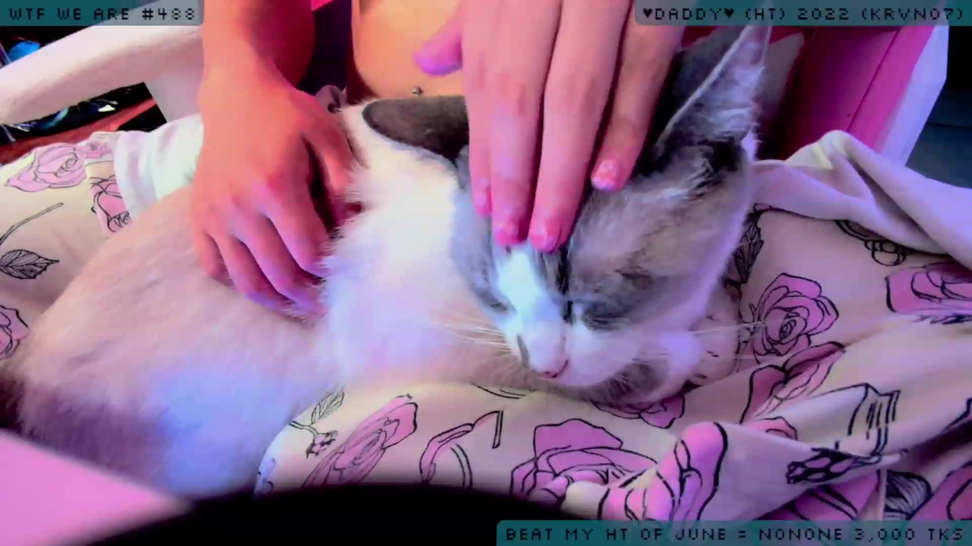 Gallery image thumbnail from JessWhitmore's myfreecams stream on, 06/24/2023, 05:53 image 20 of 20