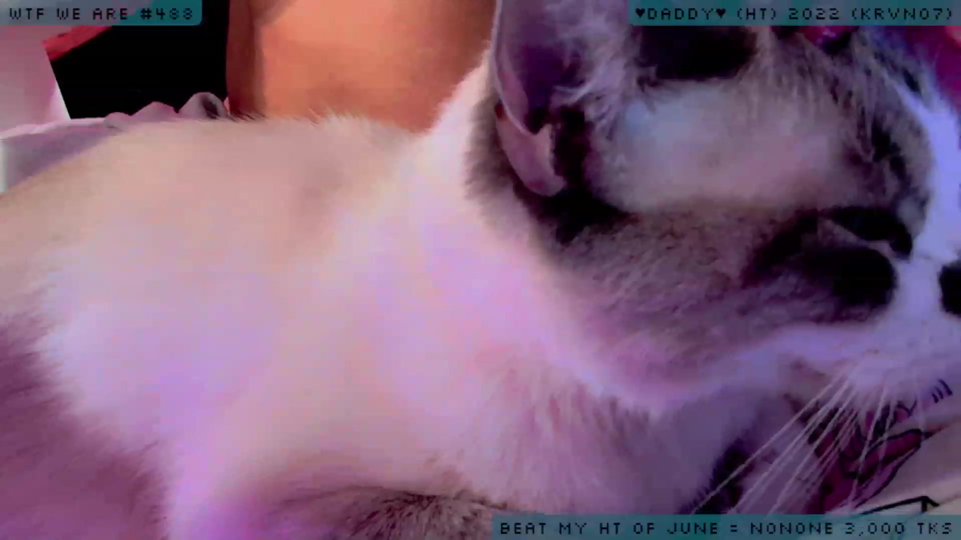 Gallery image thumbnail from JessWhitmore's myfreecams stream on, 06/24/2023, 05:53 image 19 of 20